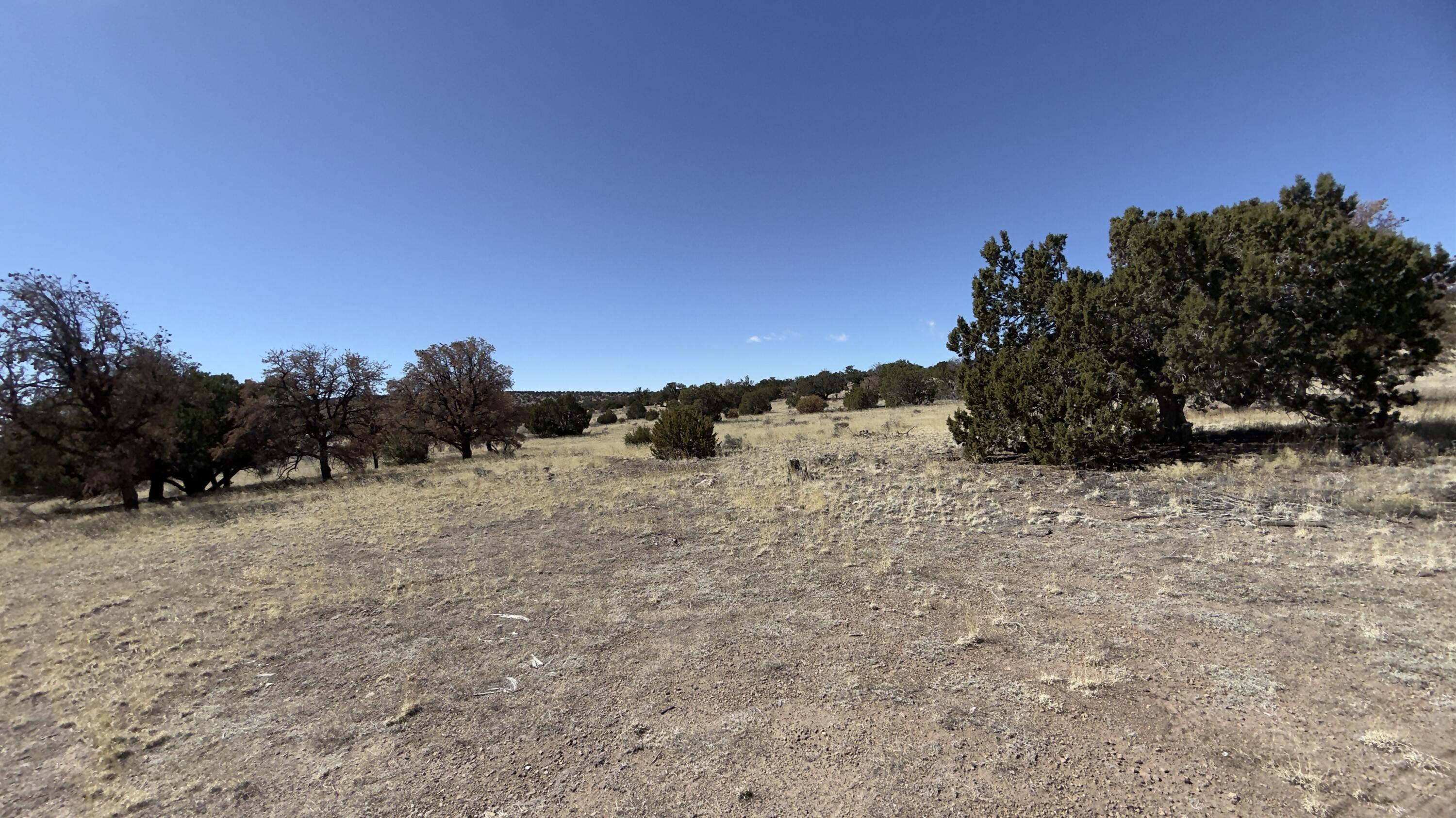 Photo 10 — 21 Wildwood Loop