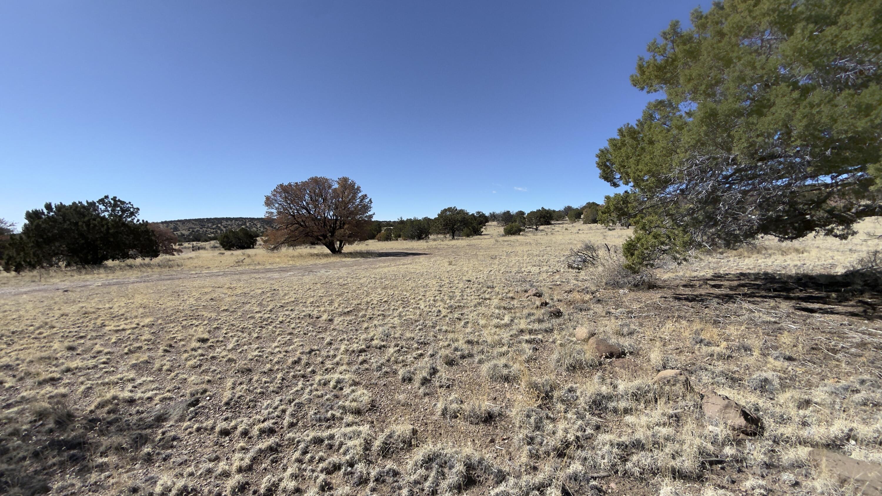 Photo 9 — 21 Wildwood Loop