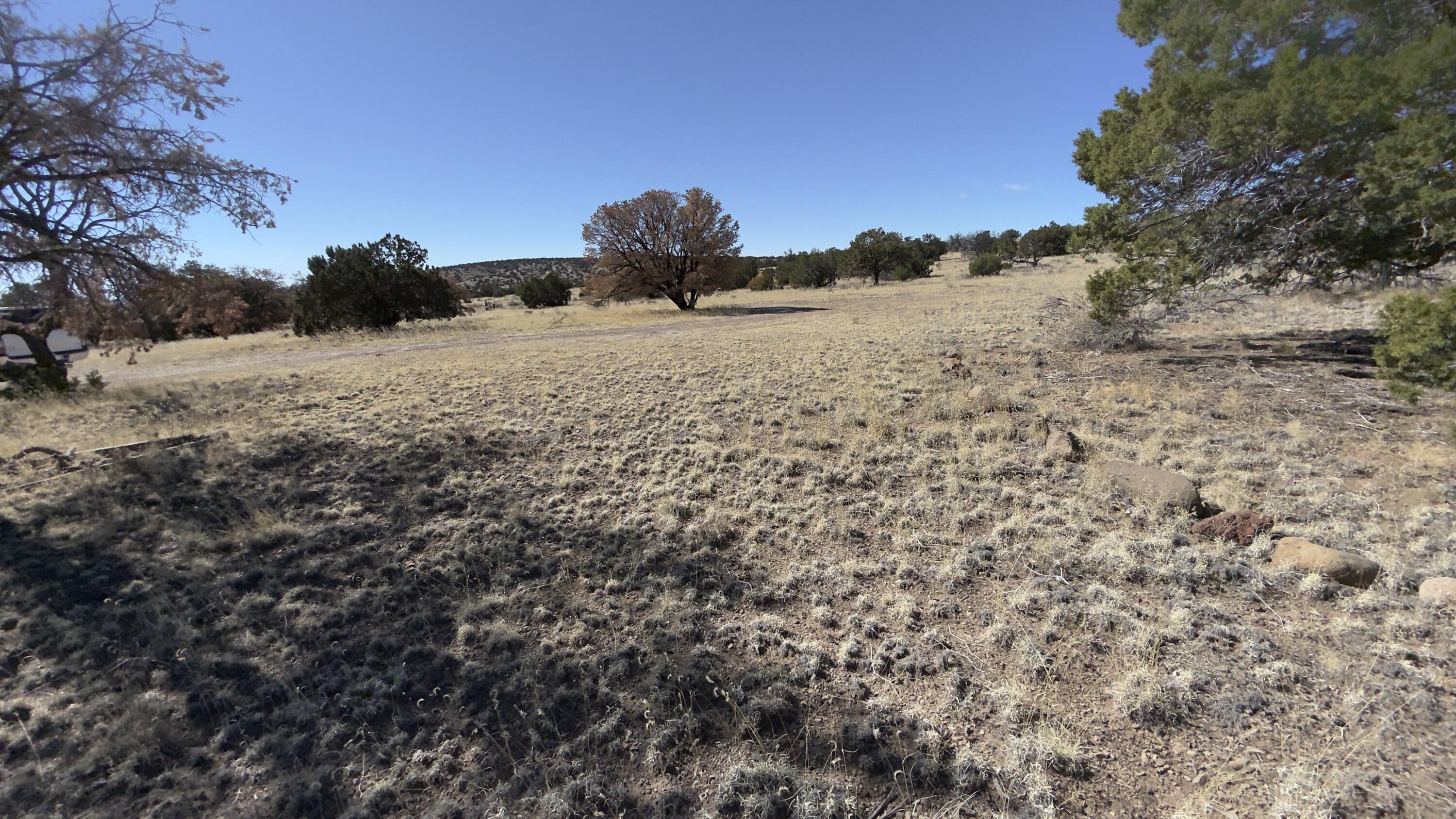 Photo 8 — 21 Wildwood Loop