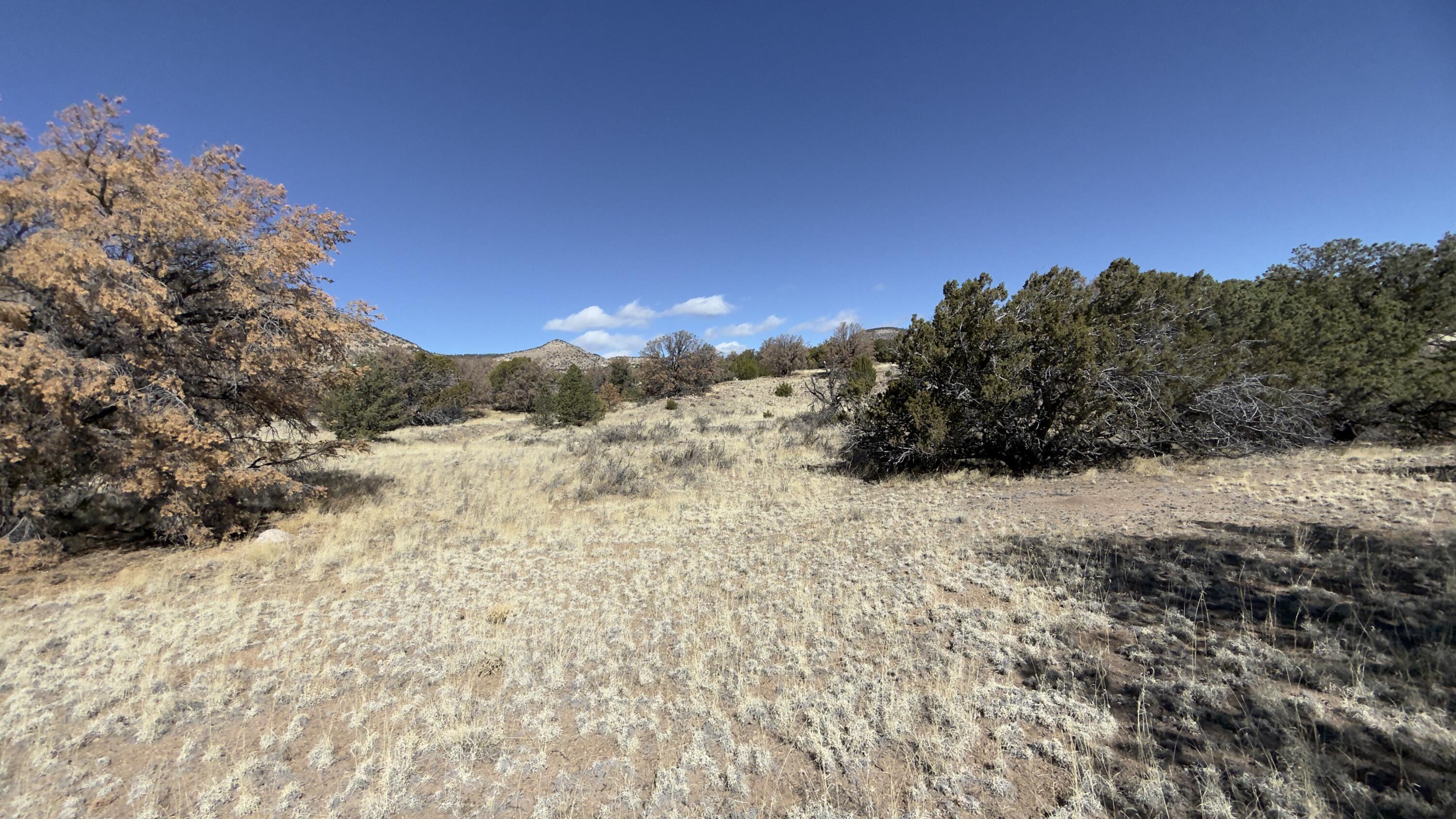 Photo 7 — 21 Wildwood Loop