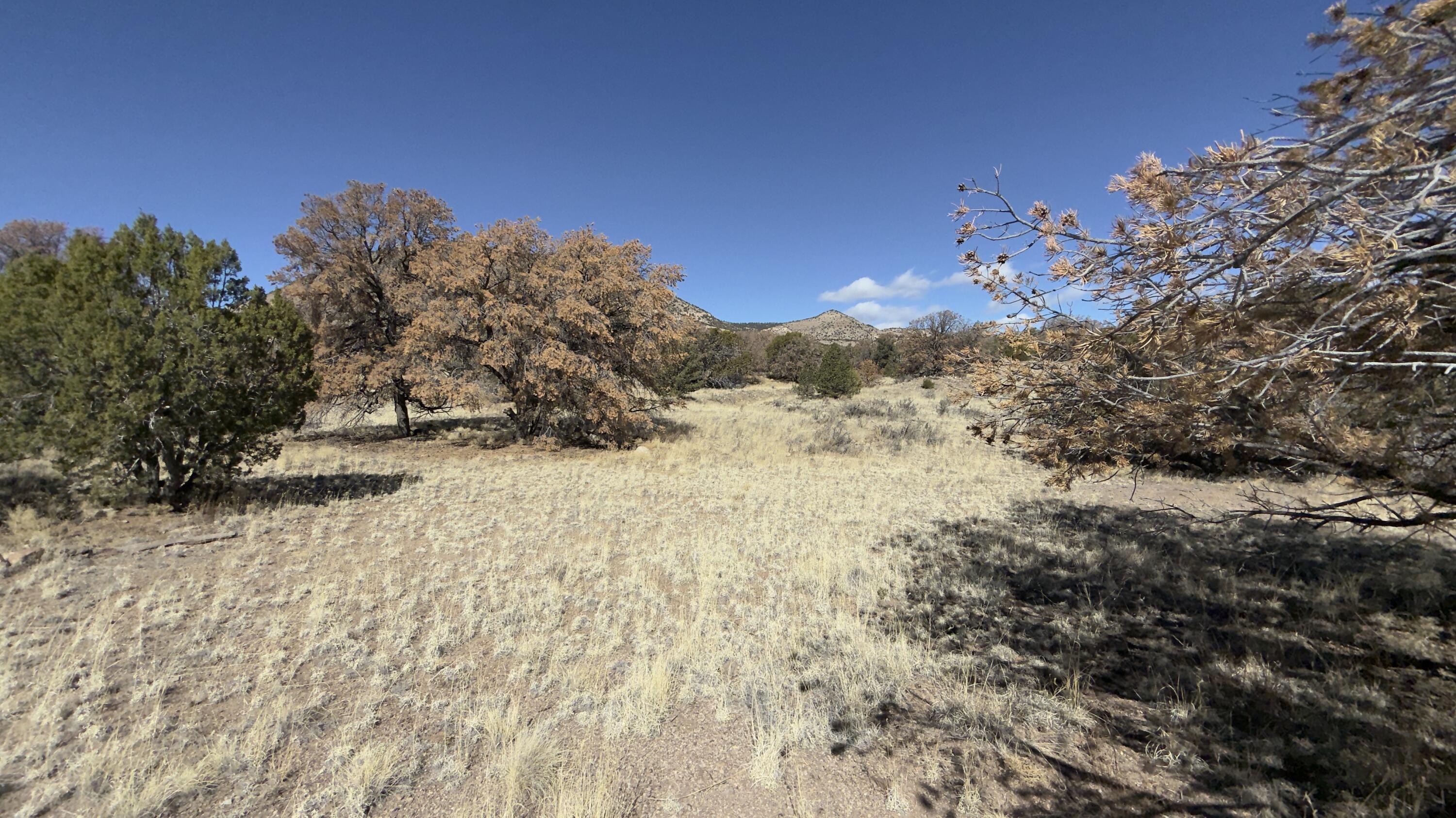 Photo 6 — 21 Wildwood Loop