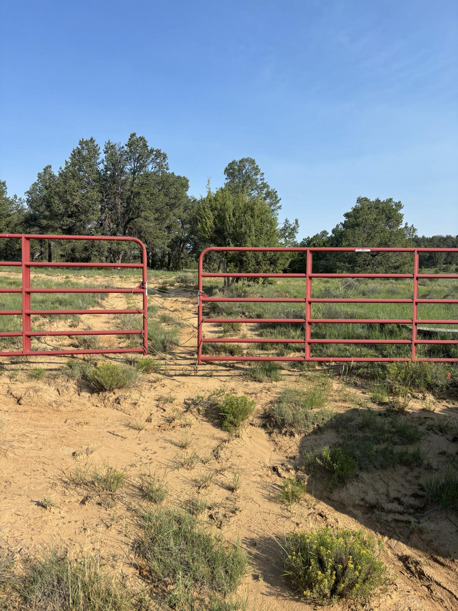 7 Branding Iron Road, Ramah, NM 87321