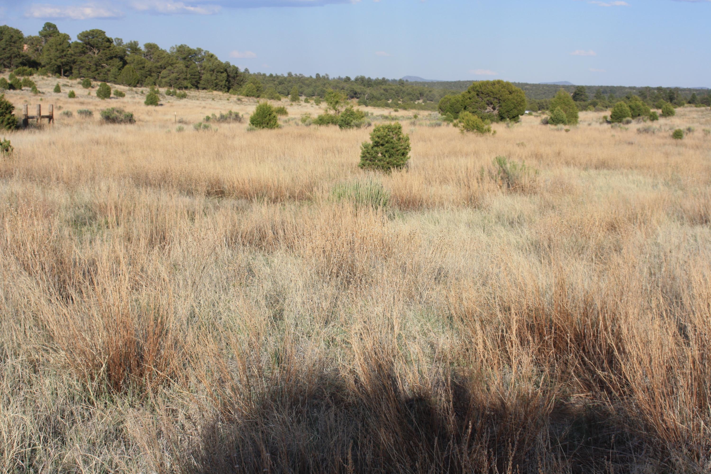 Photo 20 — 7 Branding Iron Road