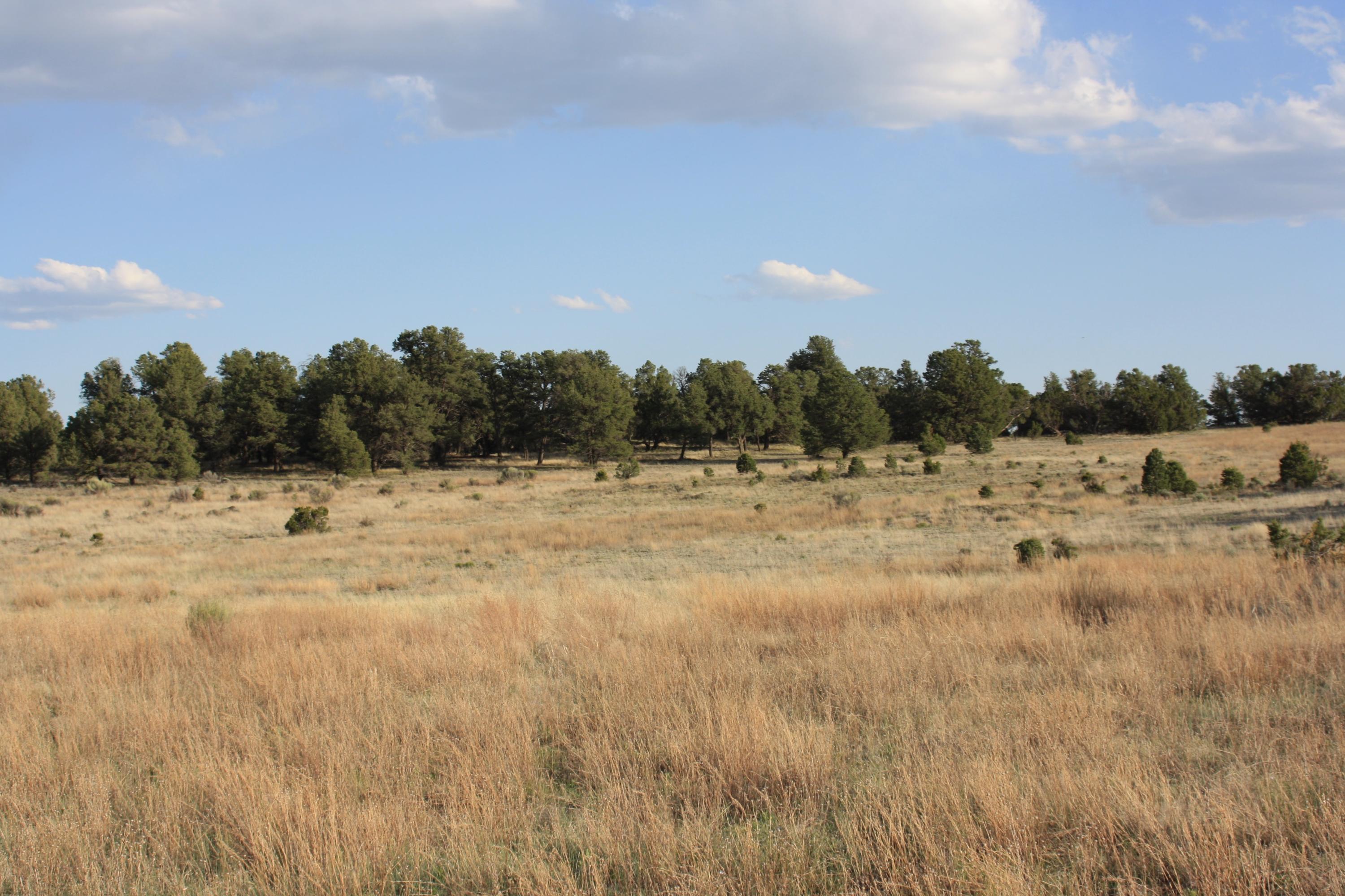 Photo 19 — 7 Branding Iron Road