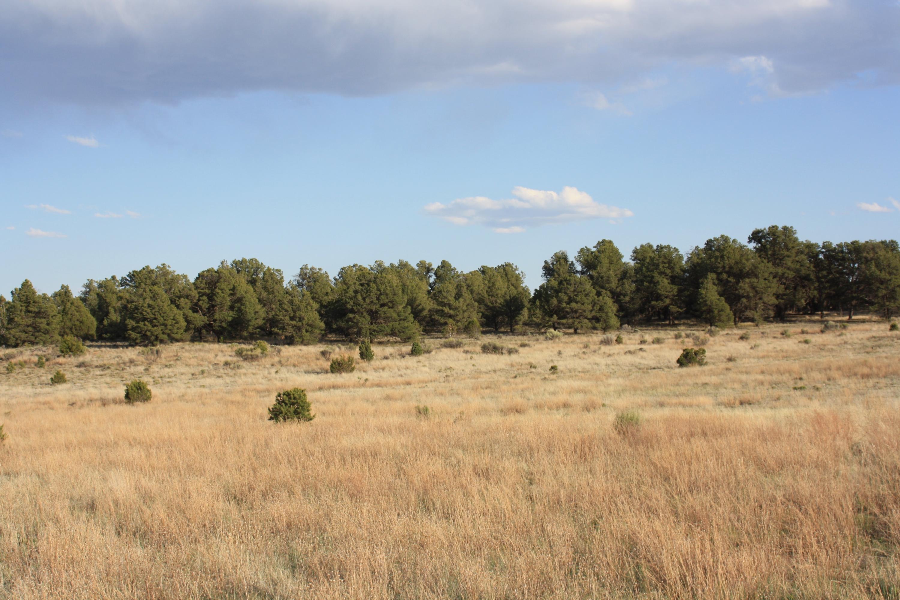 Photo 18 — 7 Branding Iron Road