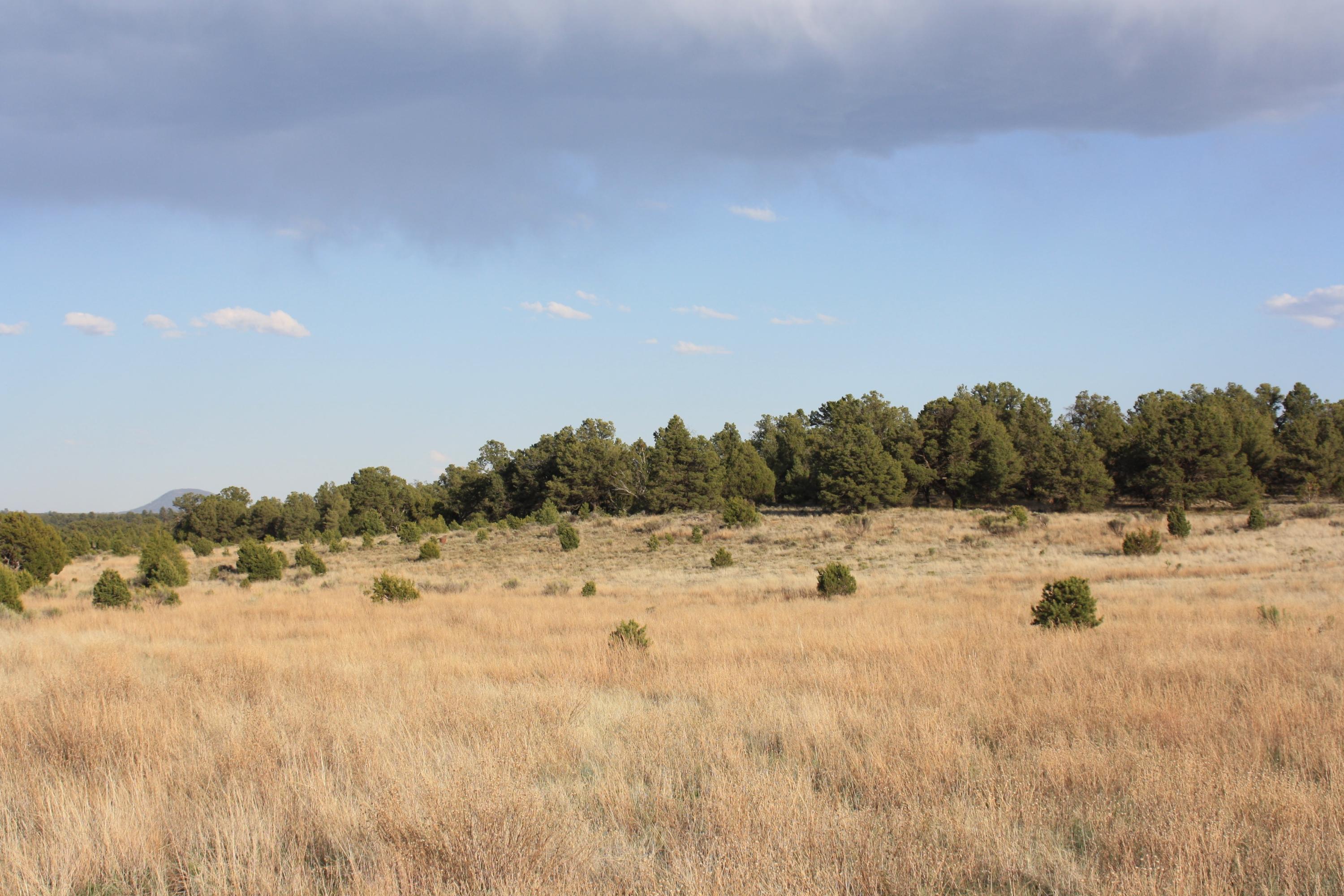 Photo 17 — 7 Branding Iron Road