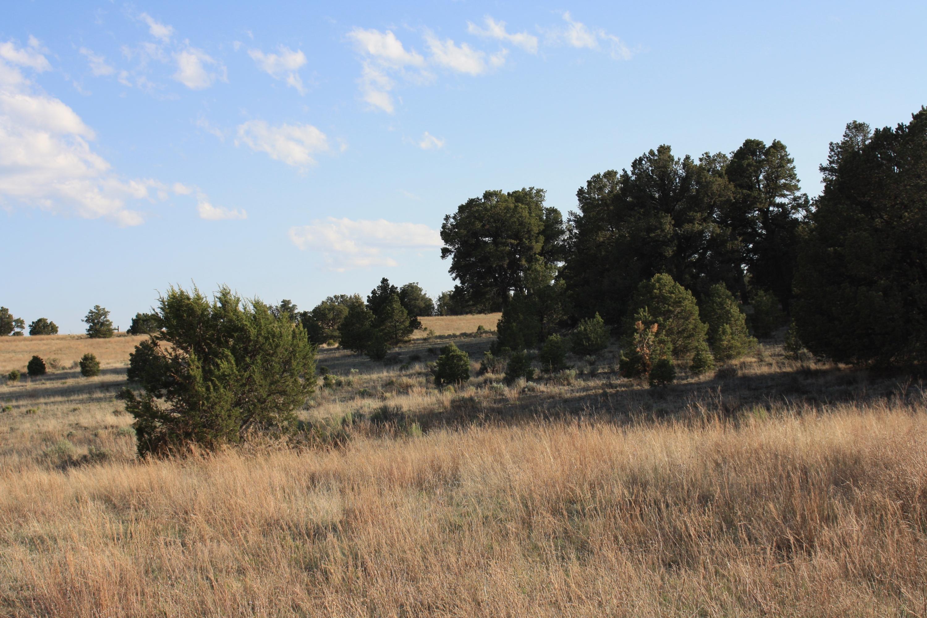 Photo 16 — 7 Branding Iron Road
