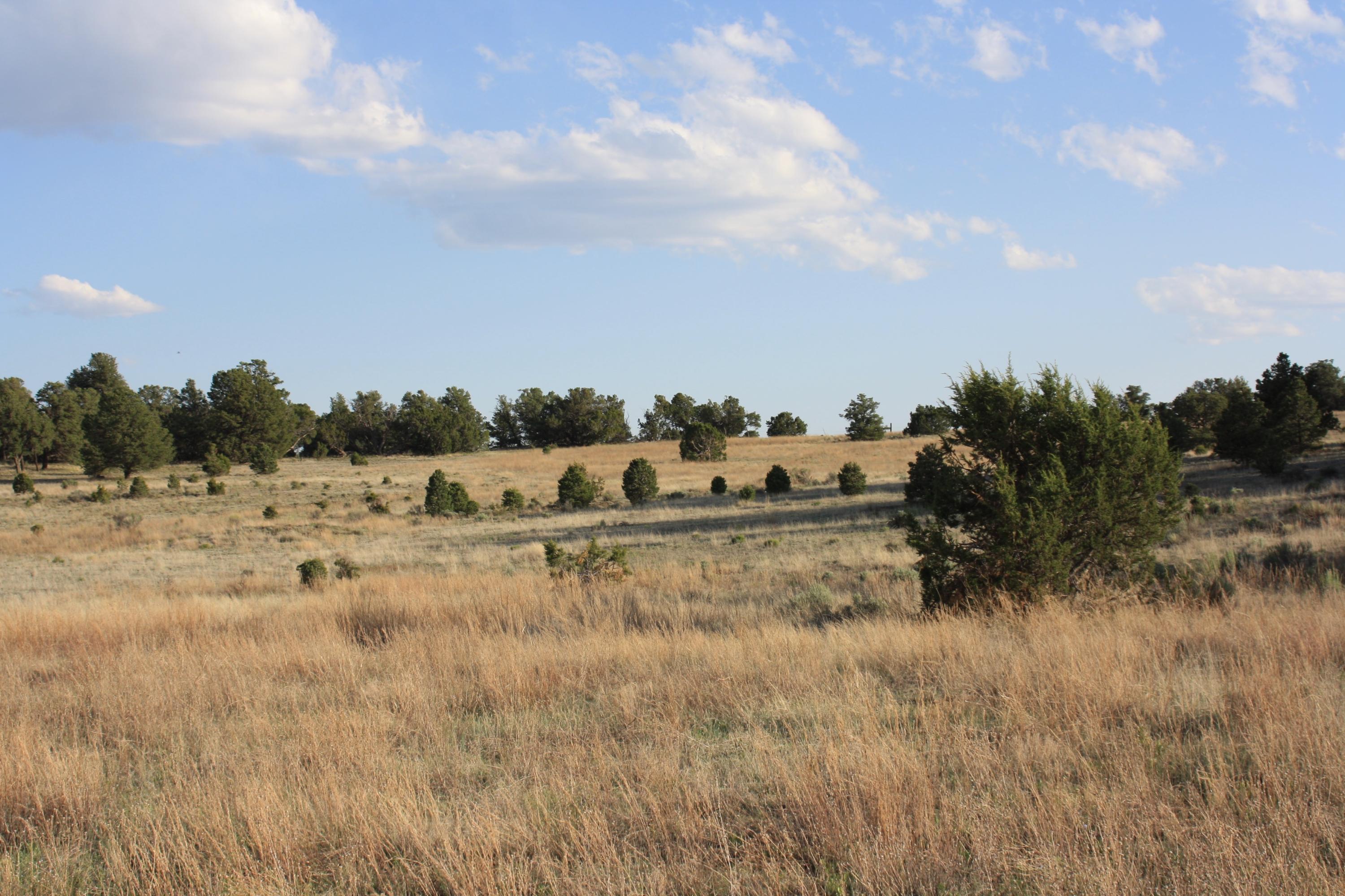 Photo 15 — 7 Branding Iron Road