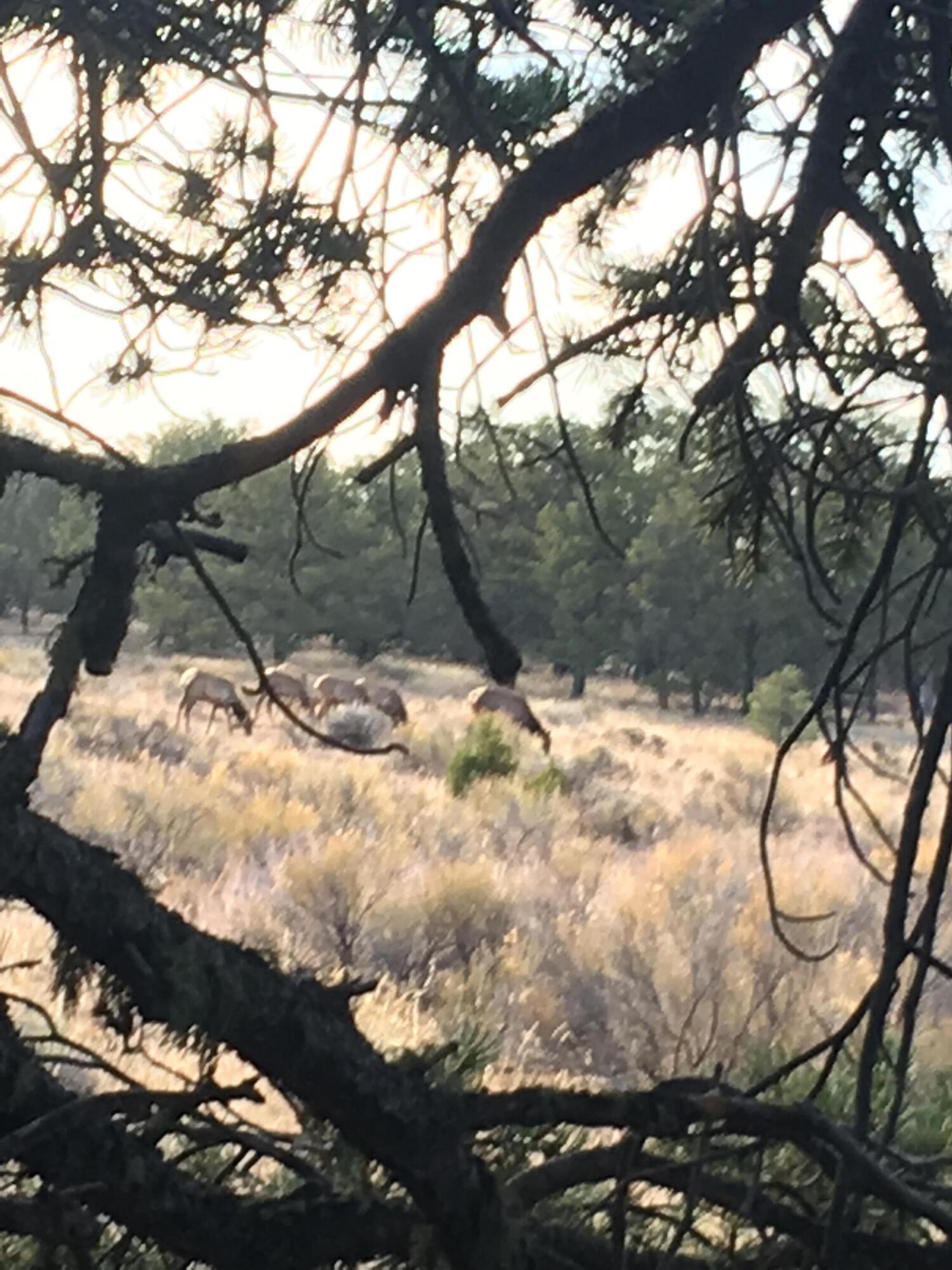 Photo 14 — 7 Branding Iron Road