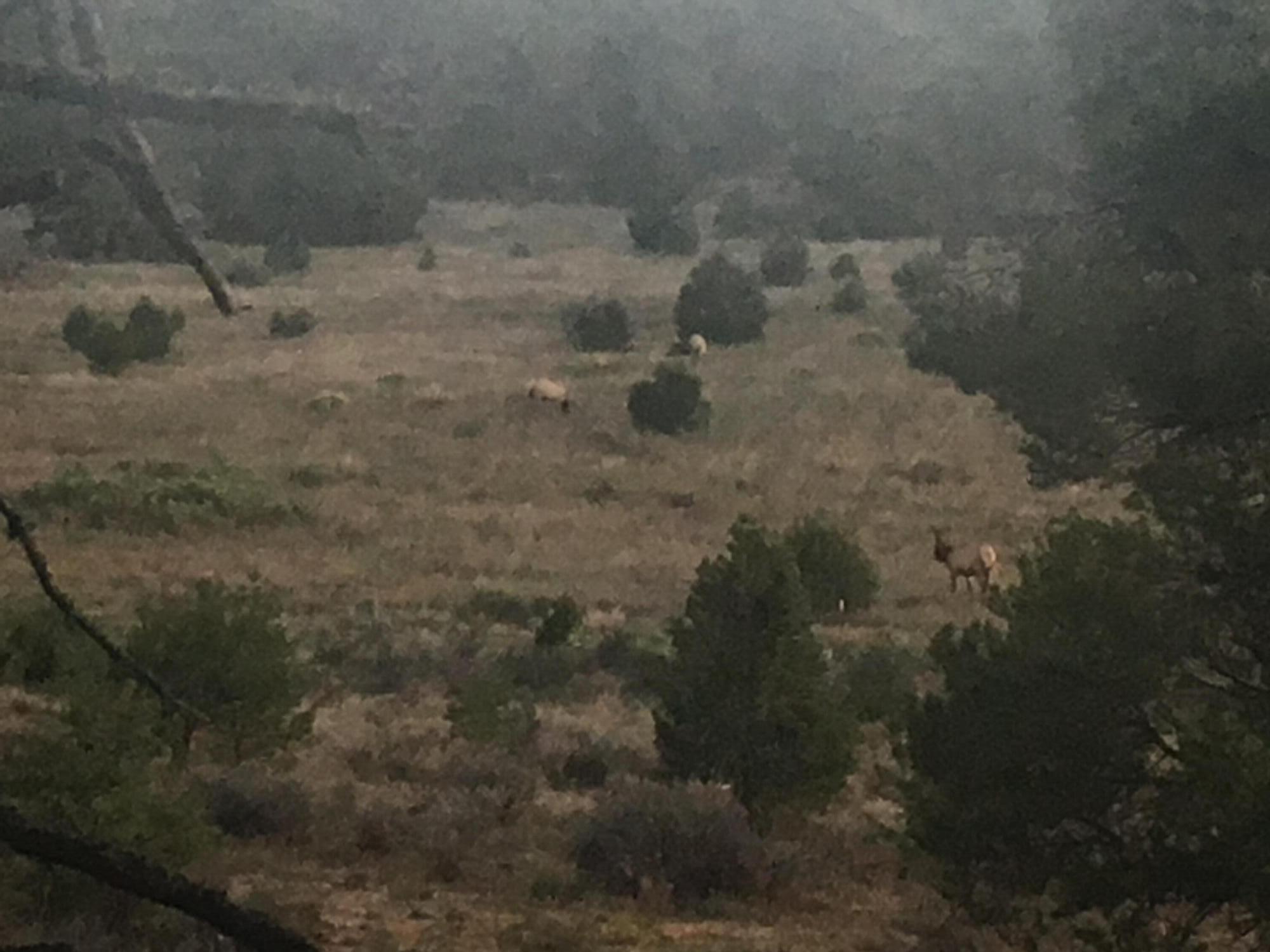Photo 13 — 7 Branding Iron Road