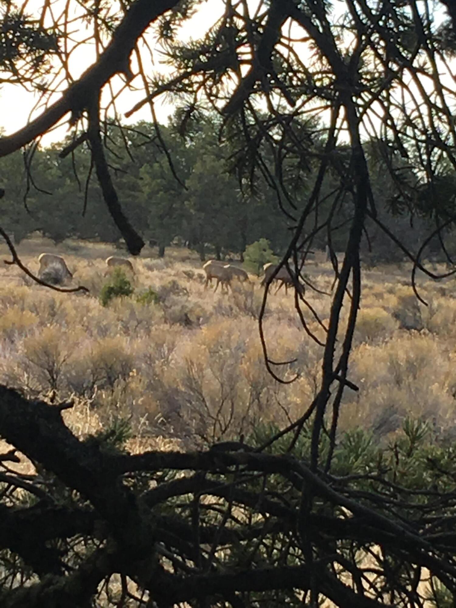 Photo 12 — 7 Branding Iron Road