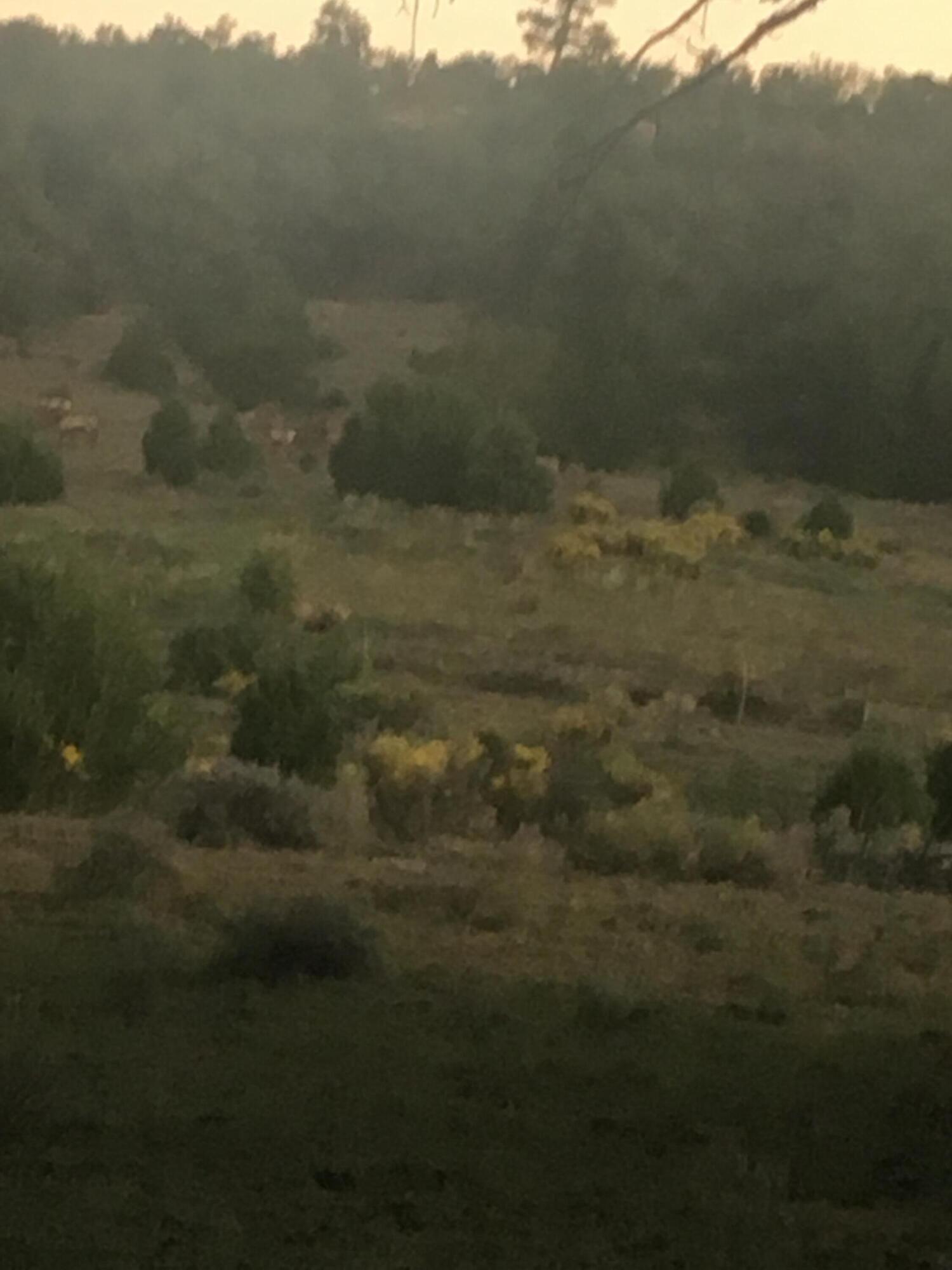 Photo 11 — 7 Branding Iron Road