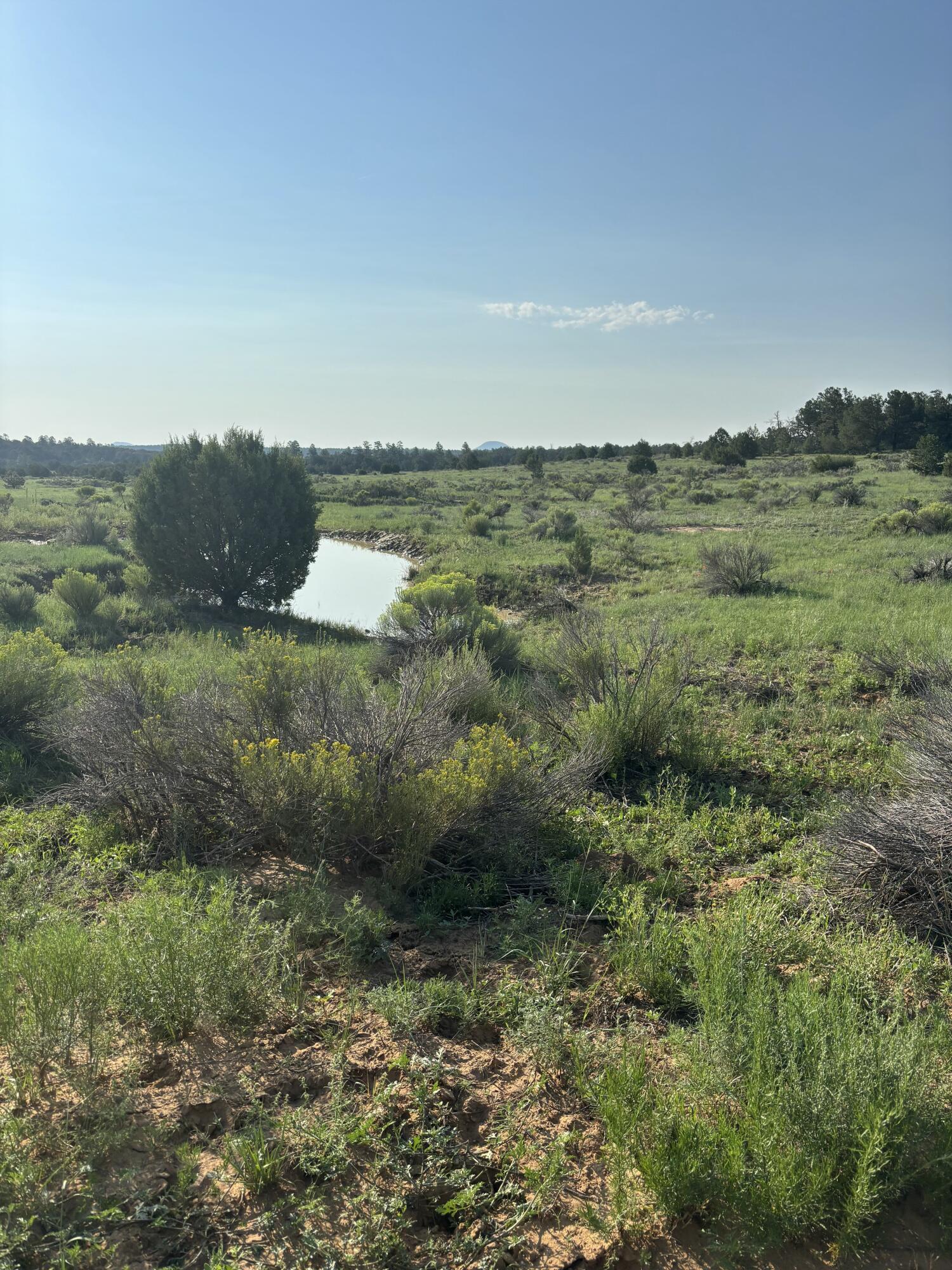 Photo 10 — 7 Branding Iron Road