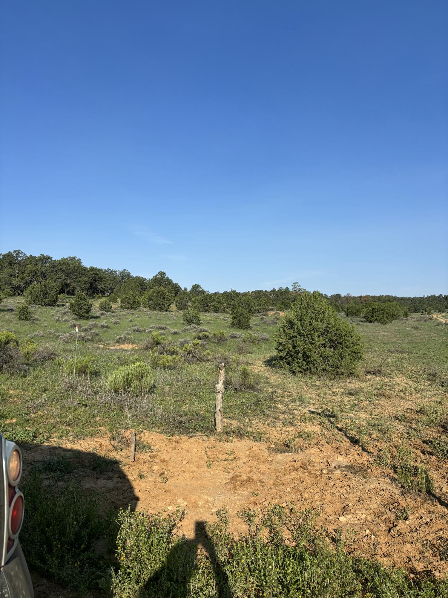 Photo 8 — 7 Branding Iron Road