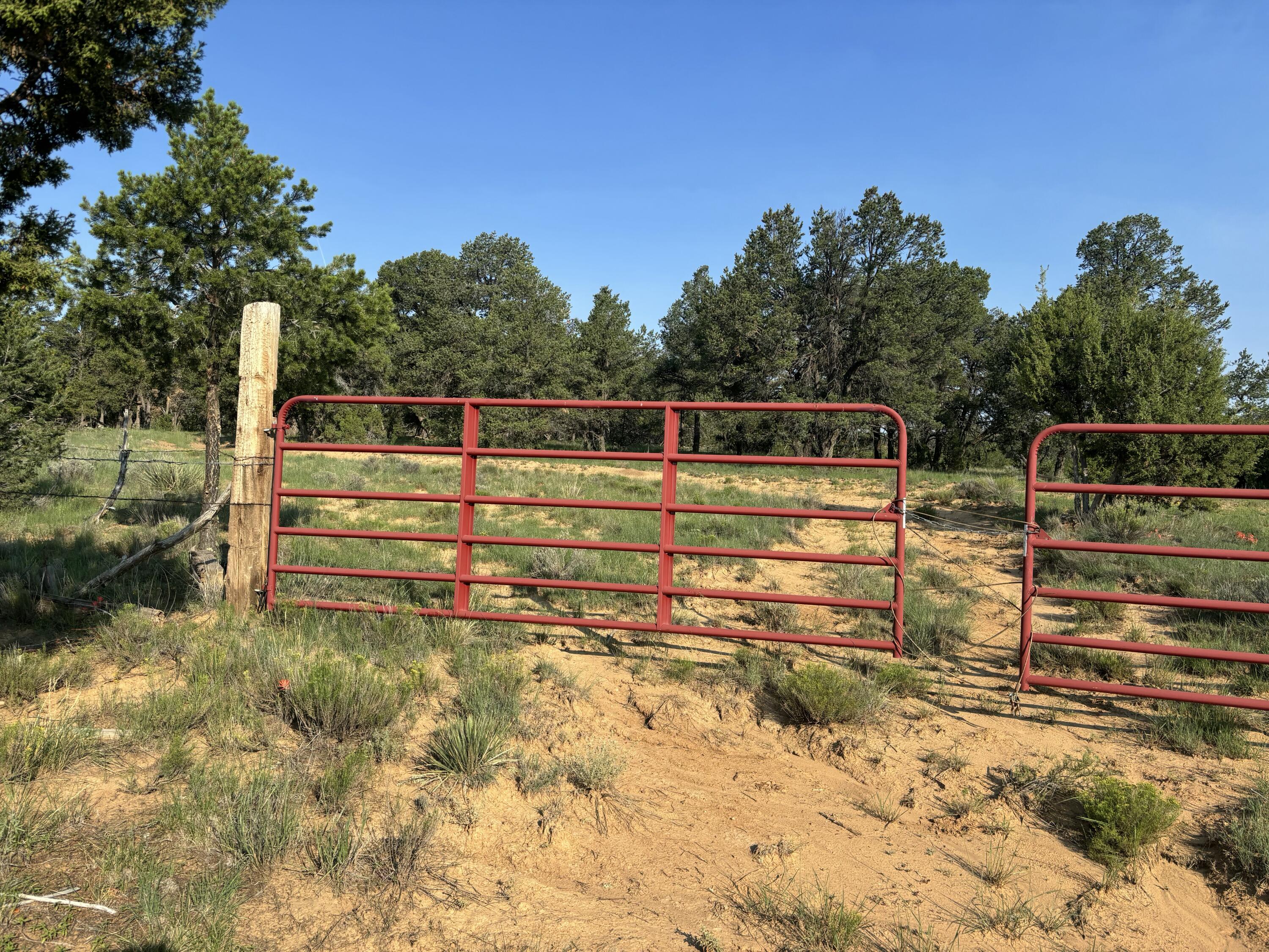 Photo 7 — 7 Branding Iron Road