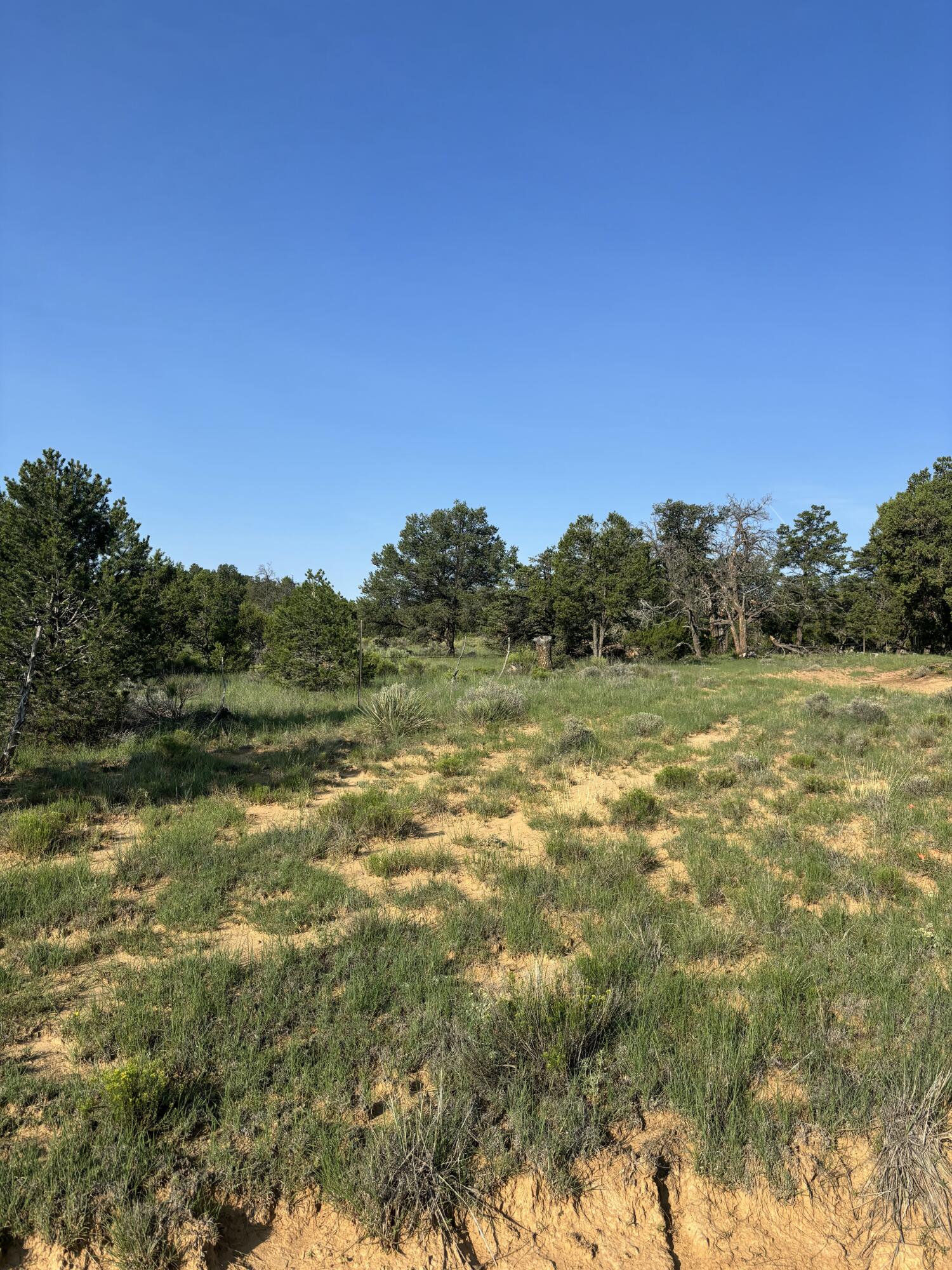 Photo 6 — 7 Branding Iron Road