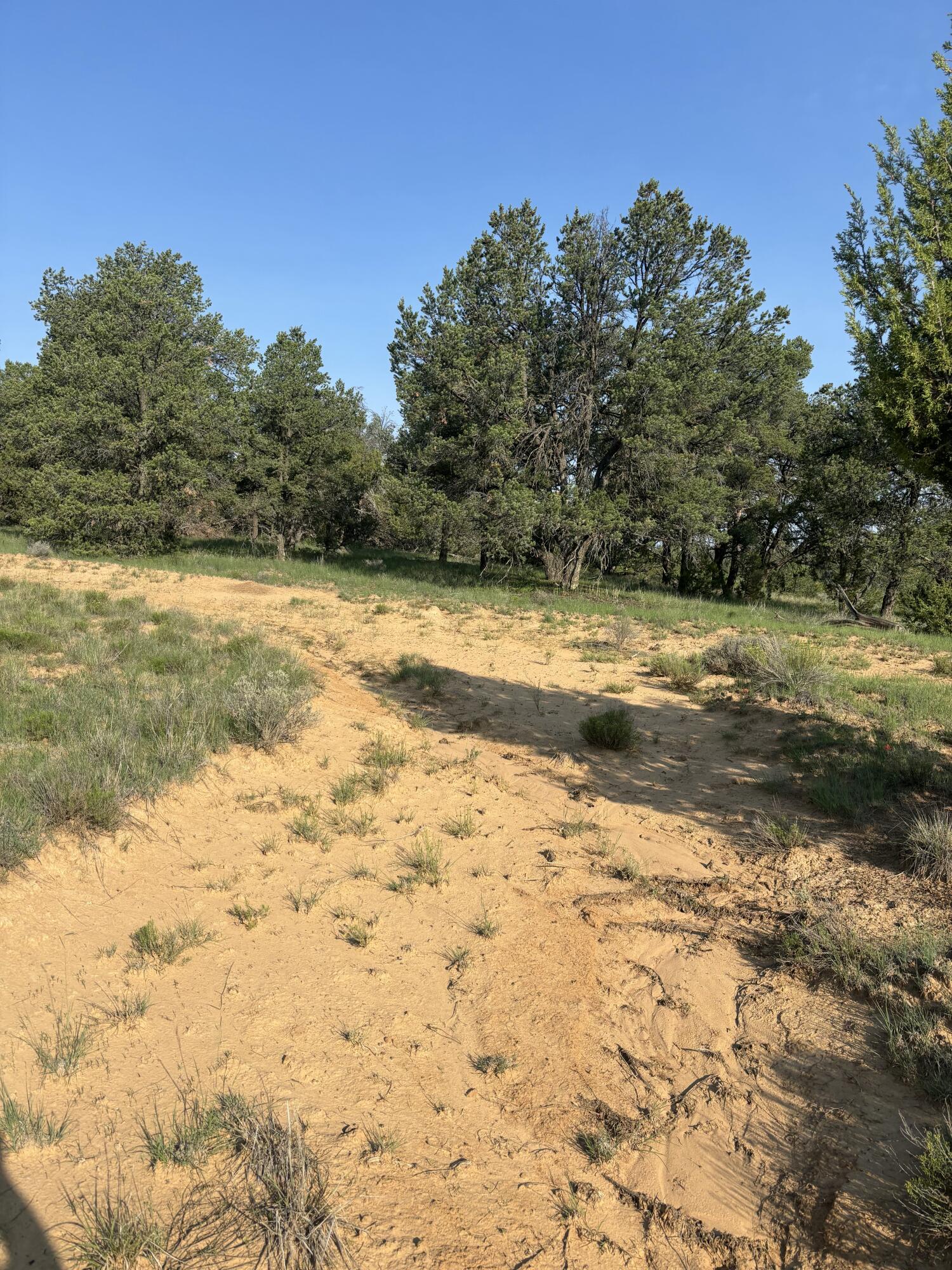 Photo 5 — 7 Branding Iron Road