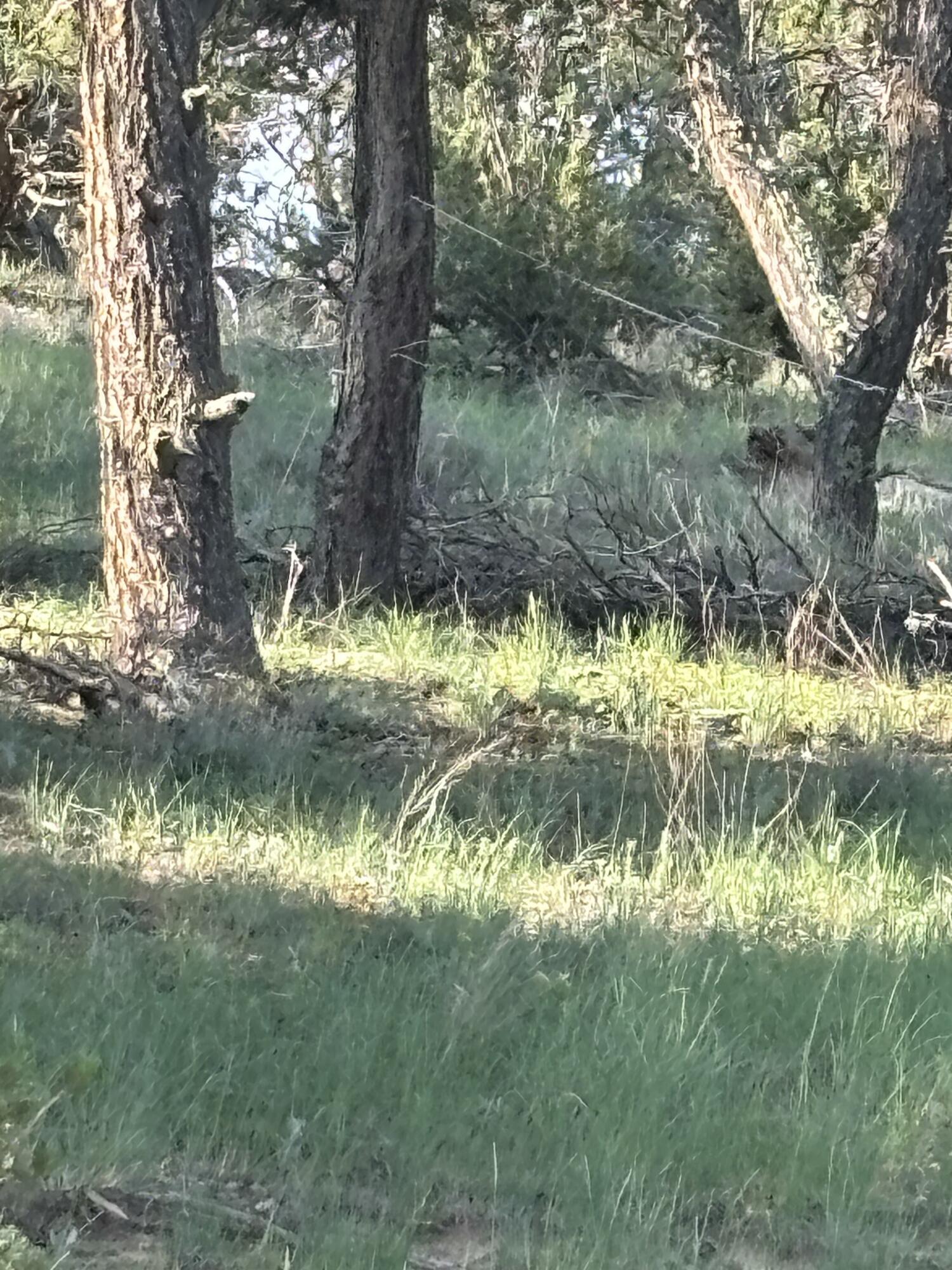 Photo 4 — 7 Branding Iron Road