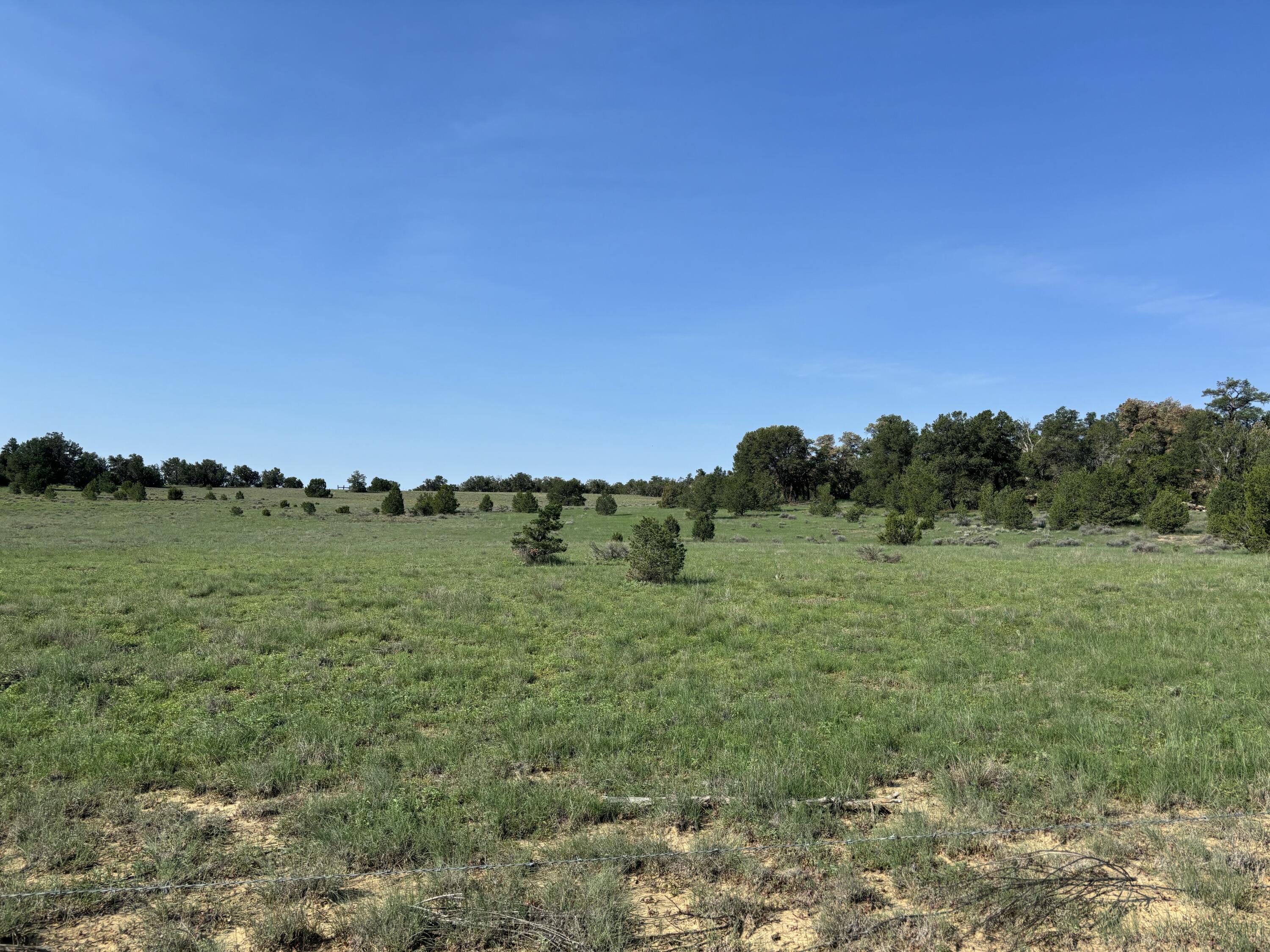 Photo 3 — 7 Branding Iron Road
