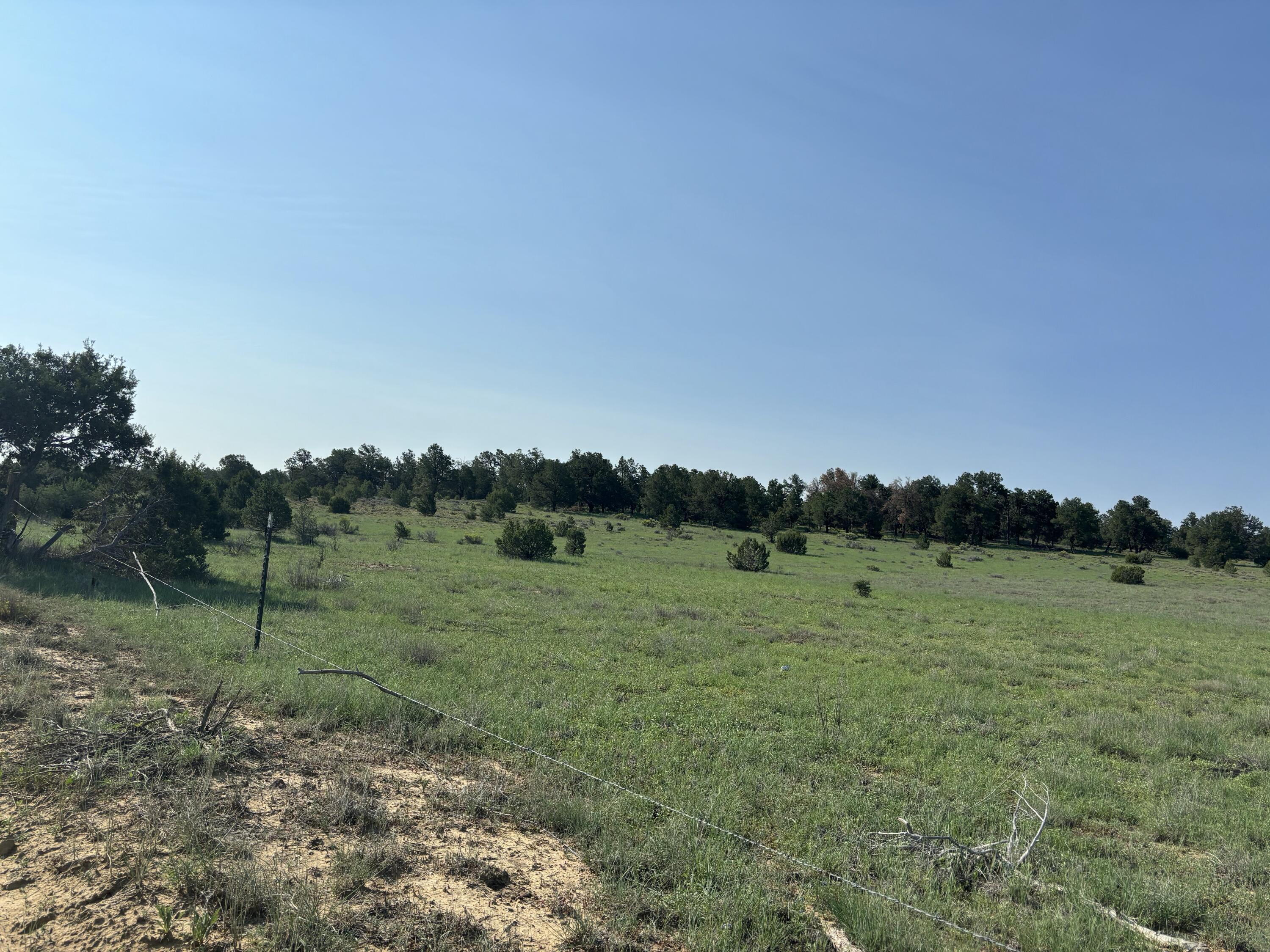 Photo 2 — 7 Branding Iron Road