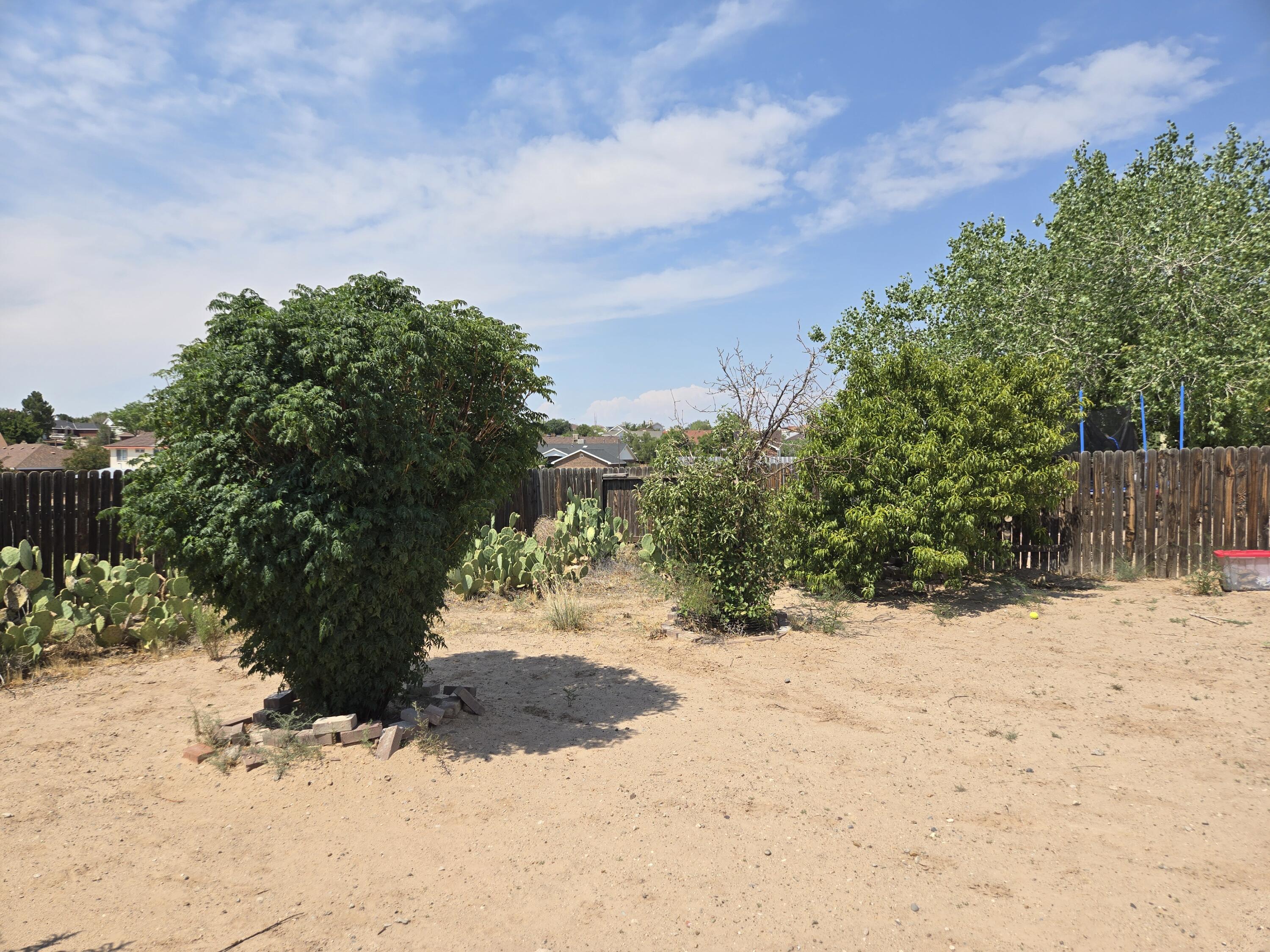 Photo 16 — 21 Juniper Avenue