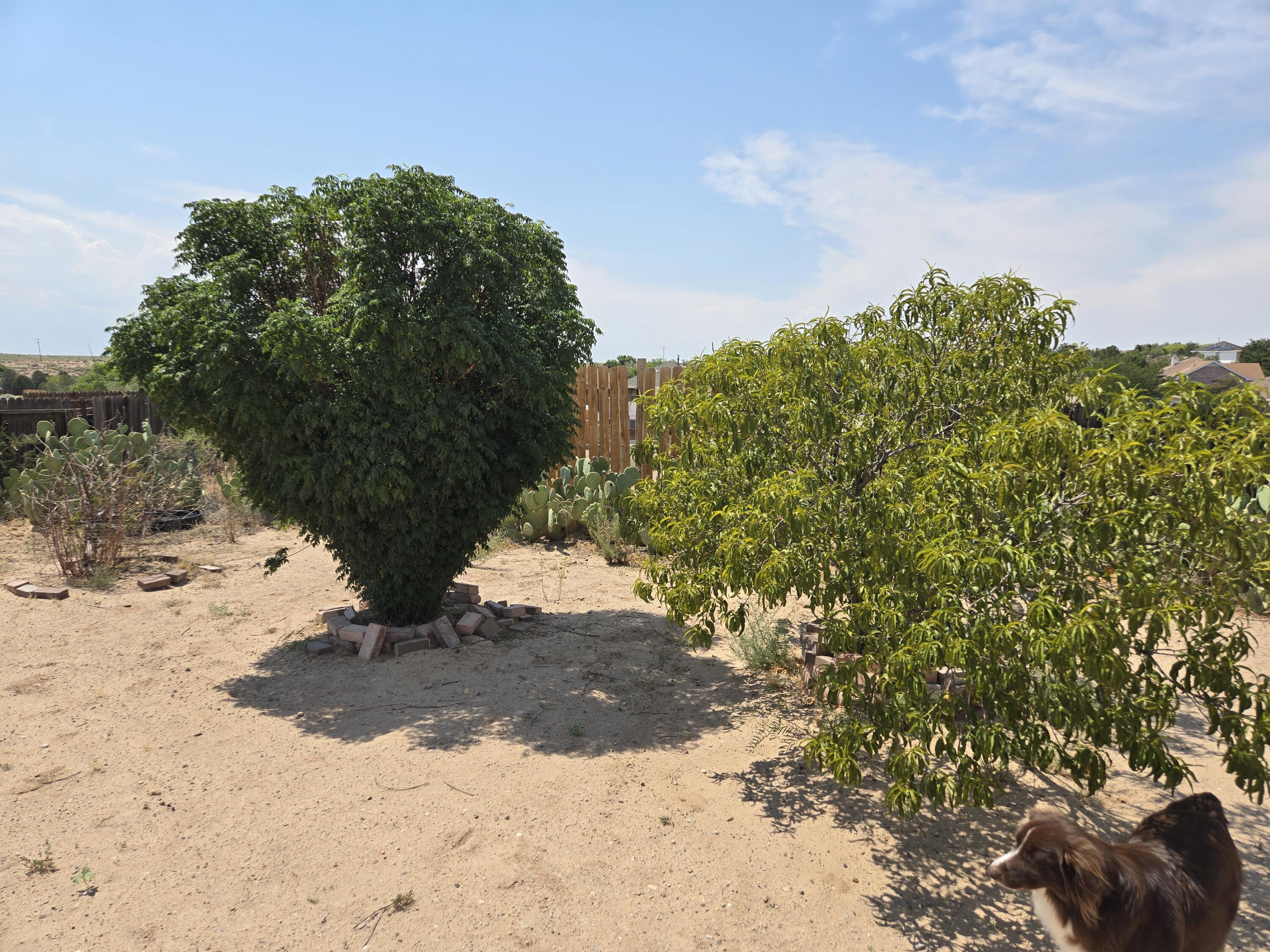 Photo 15 — 21 Juniper Avenue