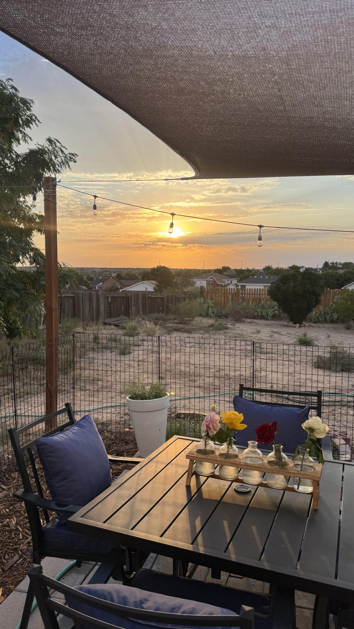 Photo 2 — 21 Juniper Avenue