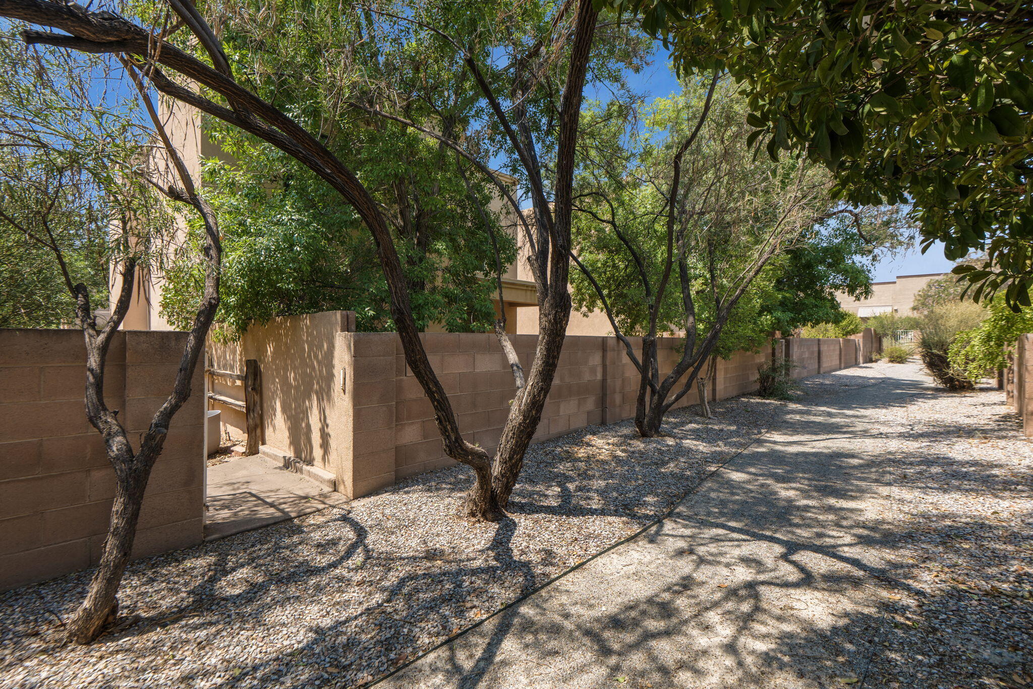 Photo 5 — 3601 Calle Oveja Court NW