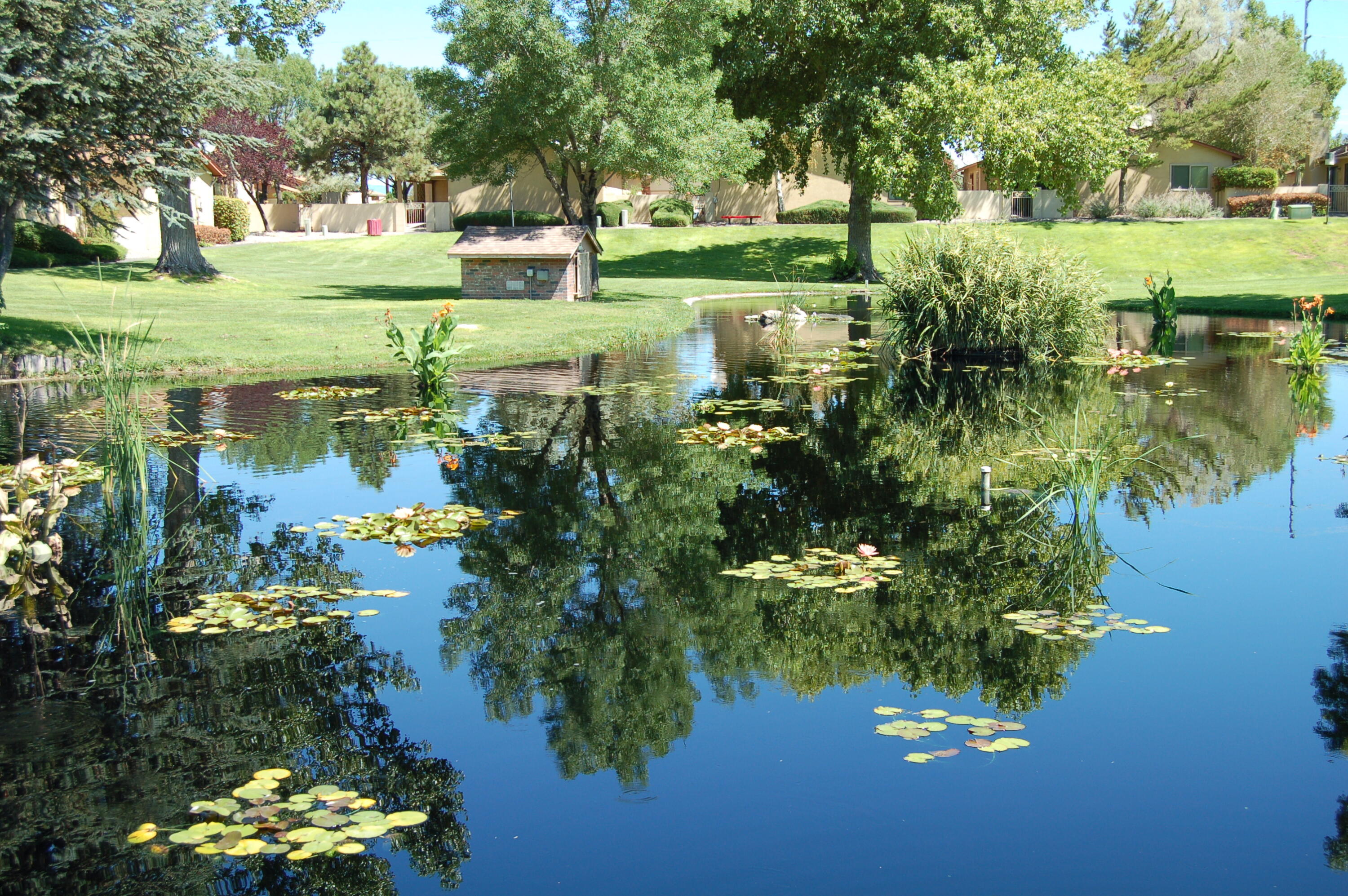 Photo 5 — 316 Palmer Park Drive NE