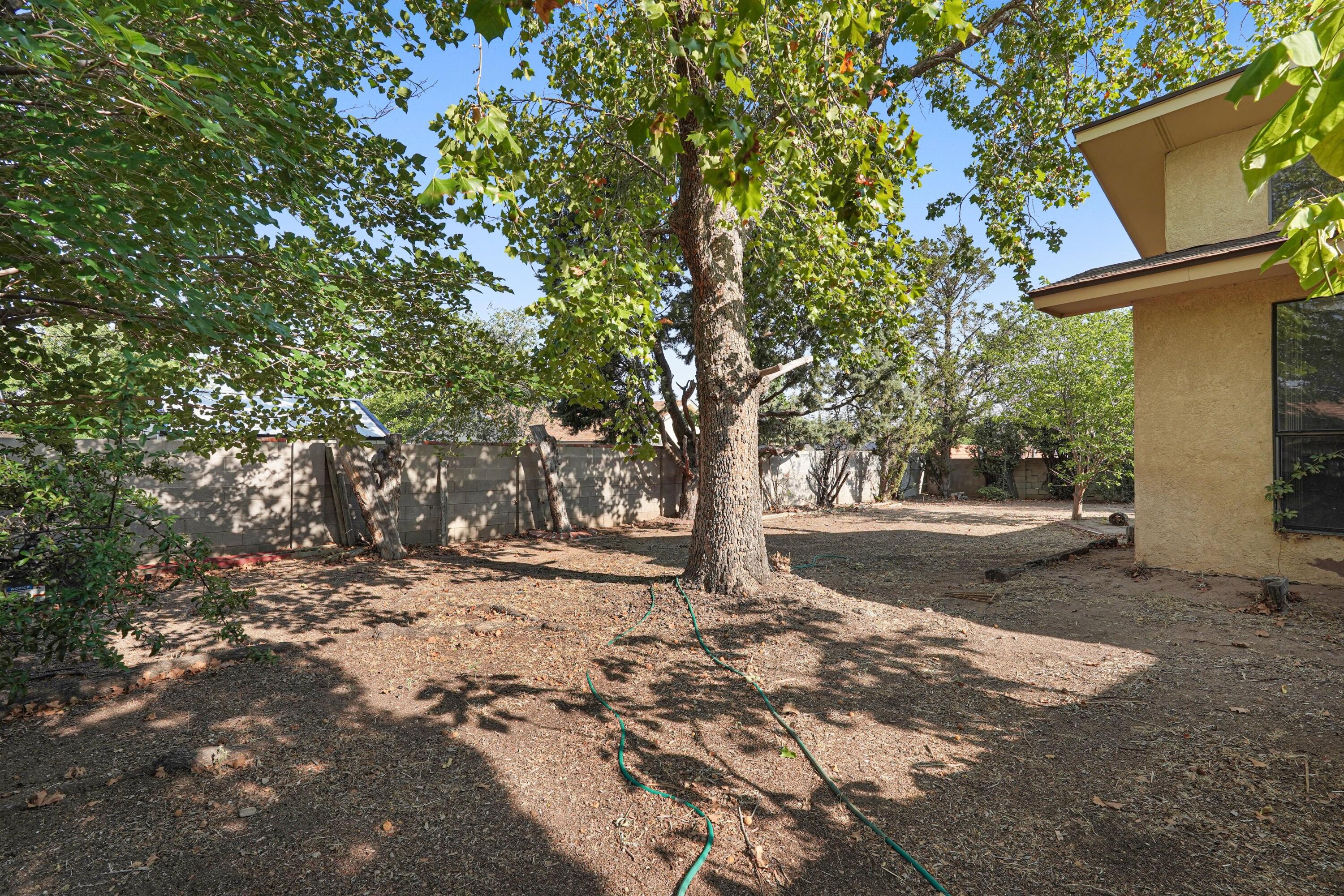Photo 20 — 7205 Luella Anne Drive NE
