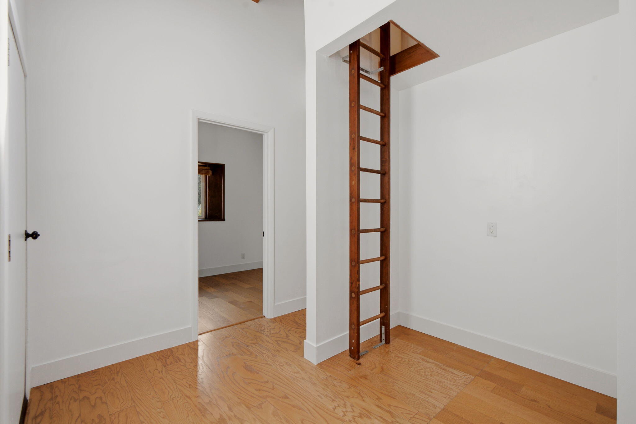 Photo 12 — 54 Baillo Drive