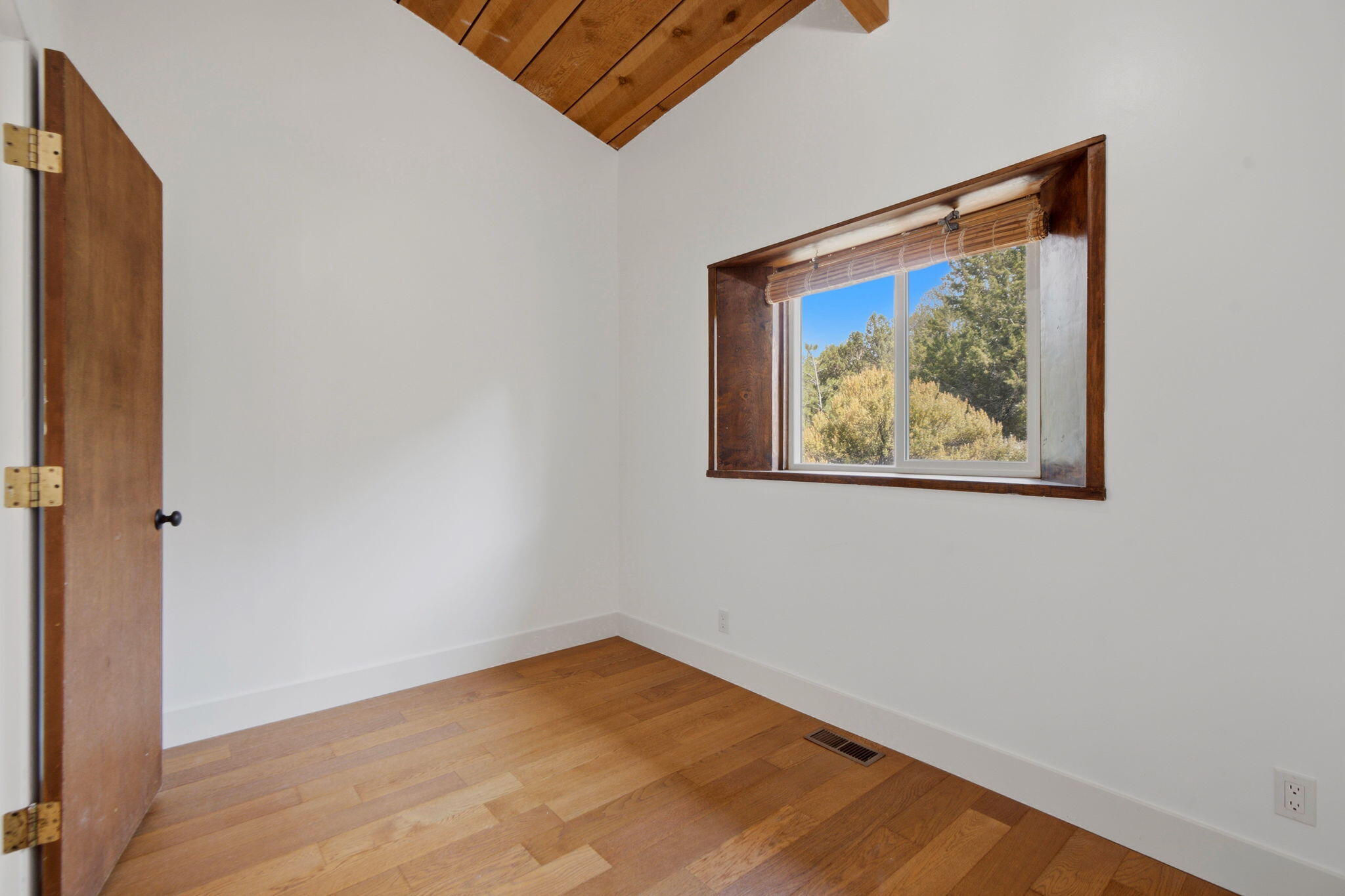 Photo 15 — 54 Baillo Drive