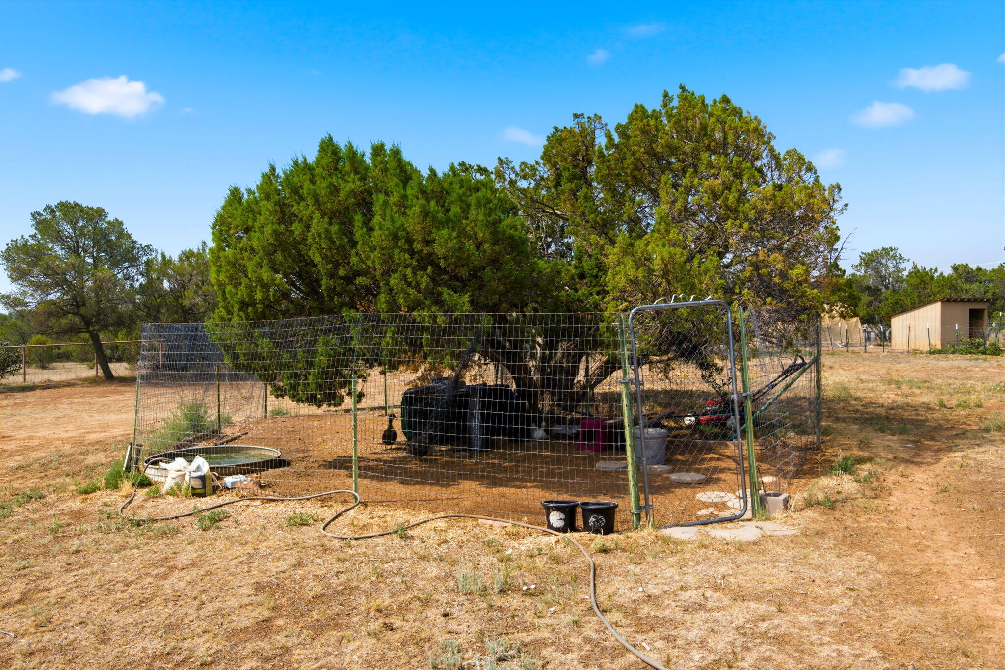Photo 19 — 6 Autumnwood Court