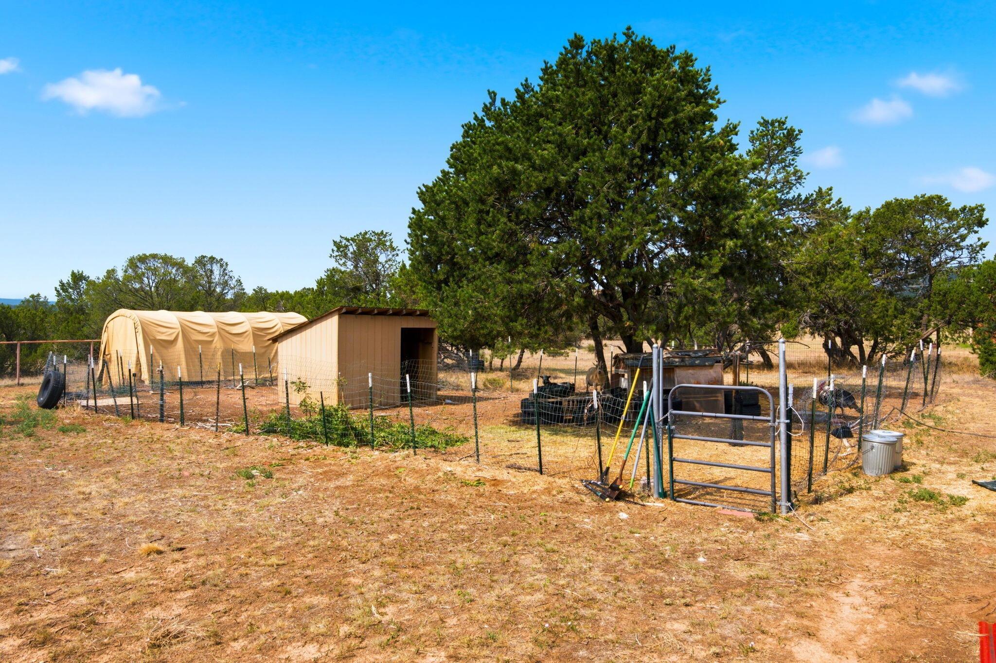 Photo 20 — 6 Autumnwood Court