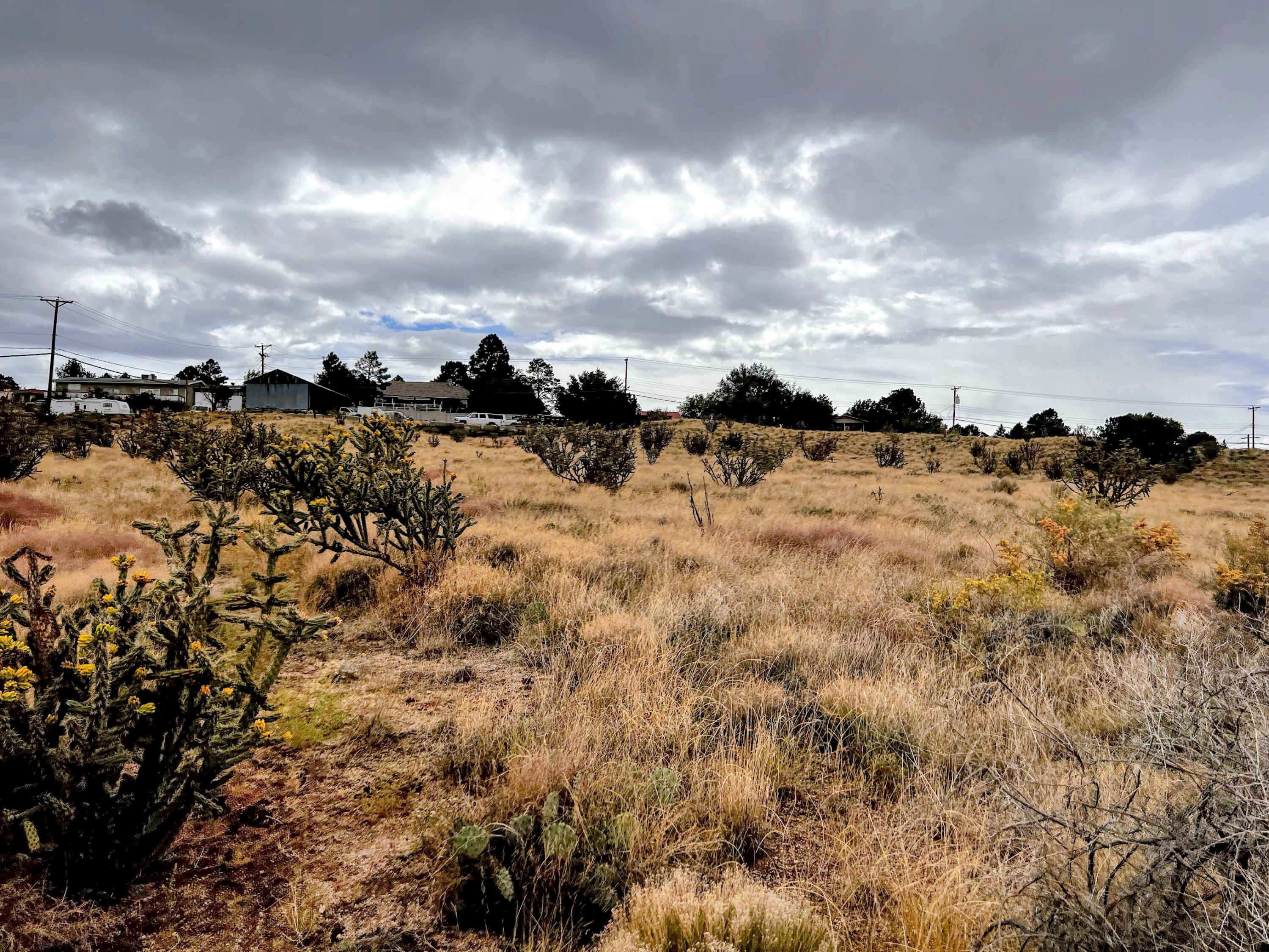 Photo 12 —  Hidden Valley / Lamp Post SE