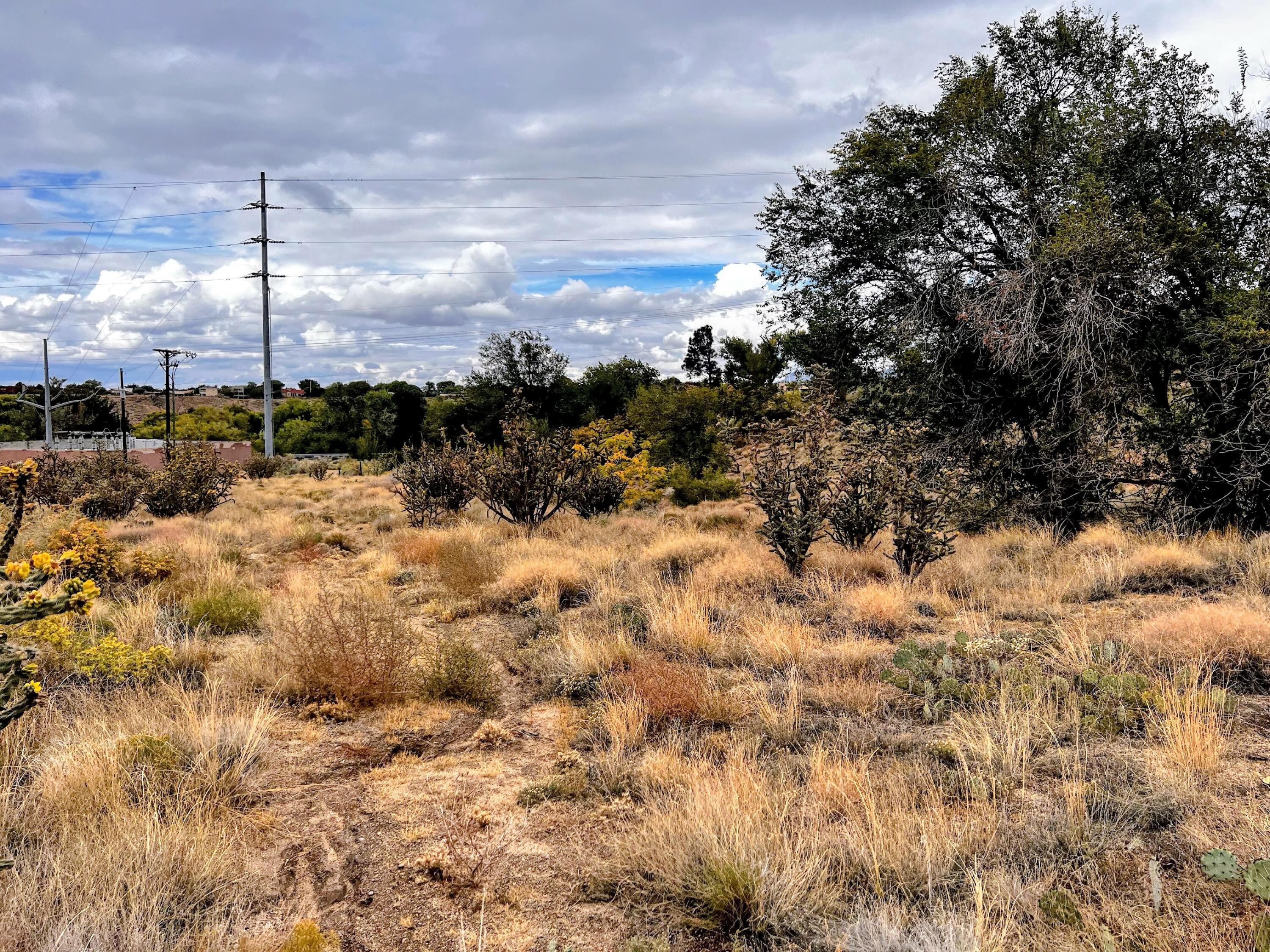 Photo 11 —  Hidden Valley / Lamp Post SE