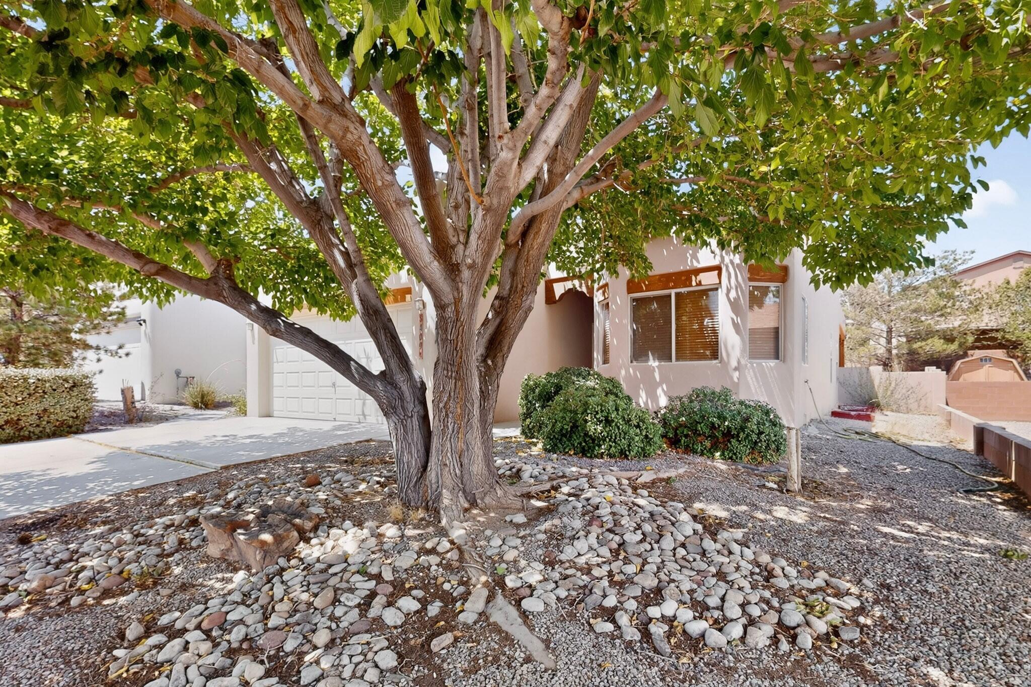 Photo 9 — 8409 Blush Road NW