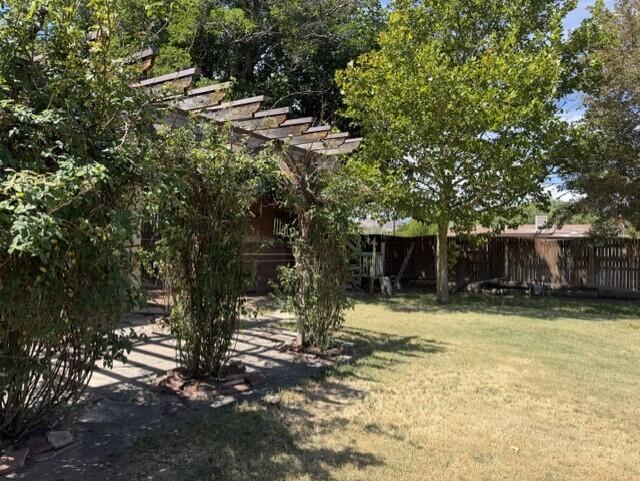 Photo 7 — 703 Liles Street
