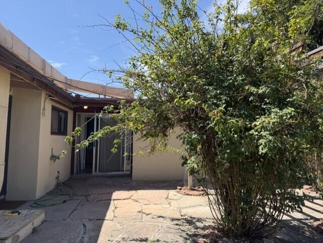Photo 6 — 703 Liles Street
