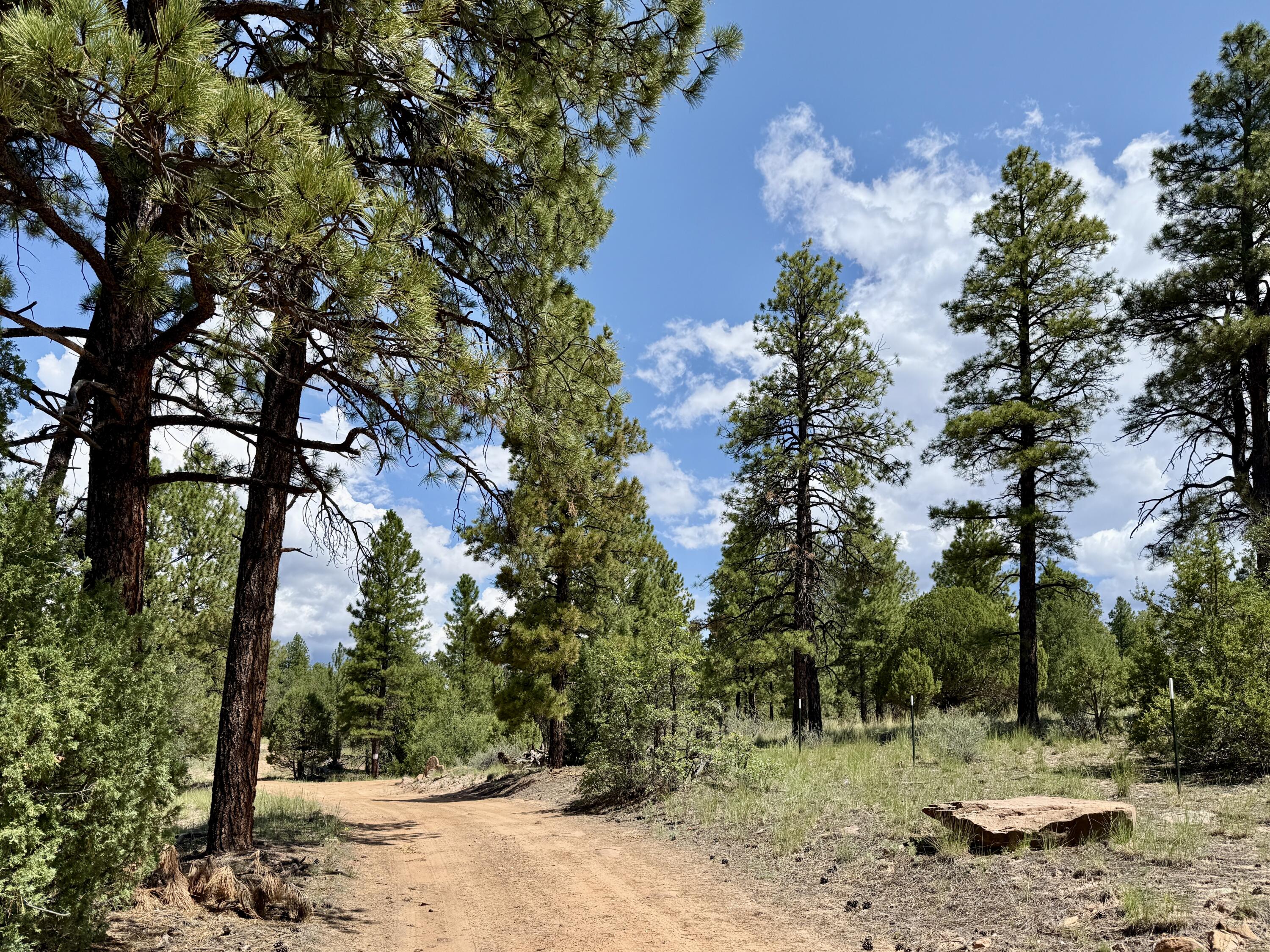 3 Leaning Pine Lane, Ramah, NM 87321