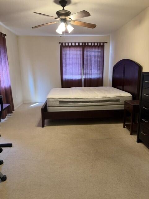 Photo 5 — 1011 Mineral Way 2