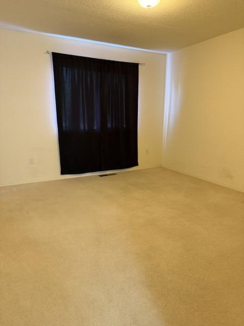 Photo 4 — 1011 Mineral Way 2