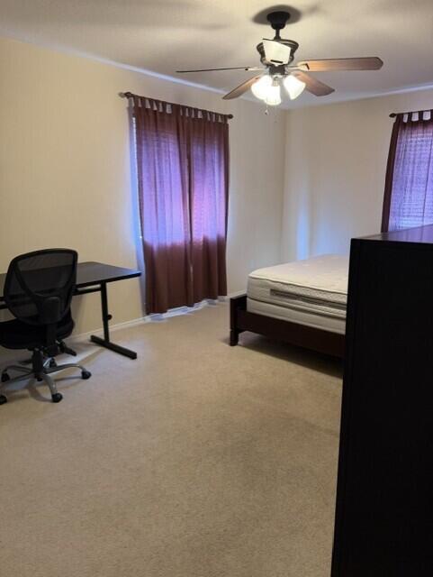 Photo 6 — 1011 Mineral Way 2