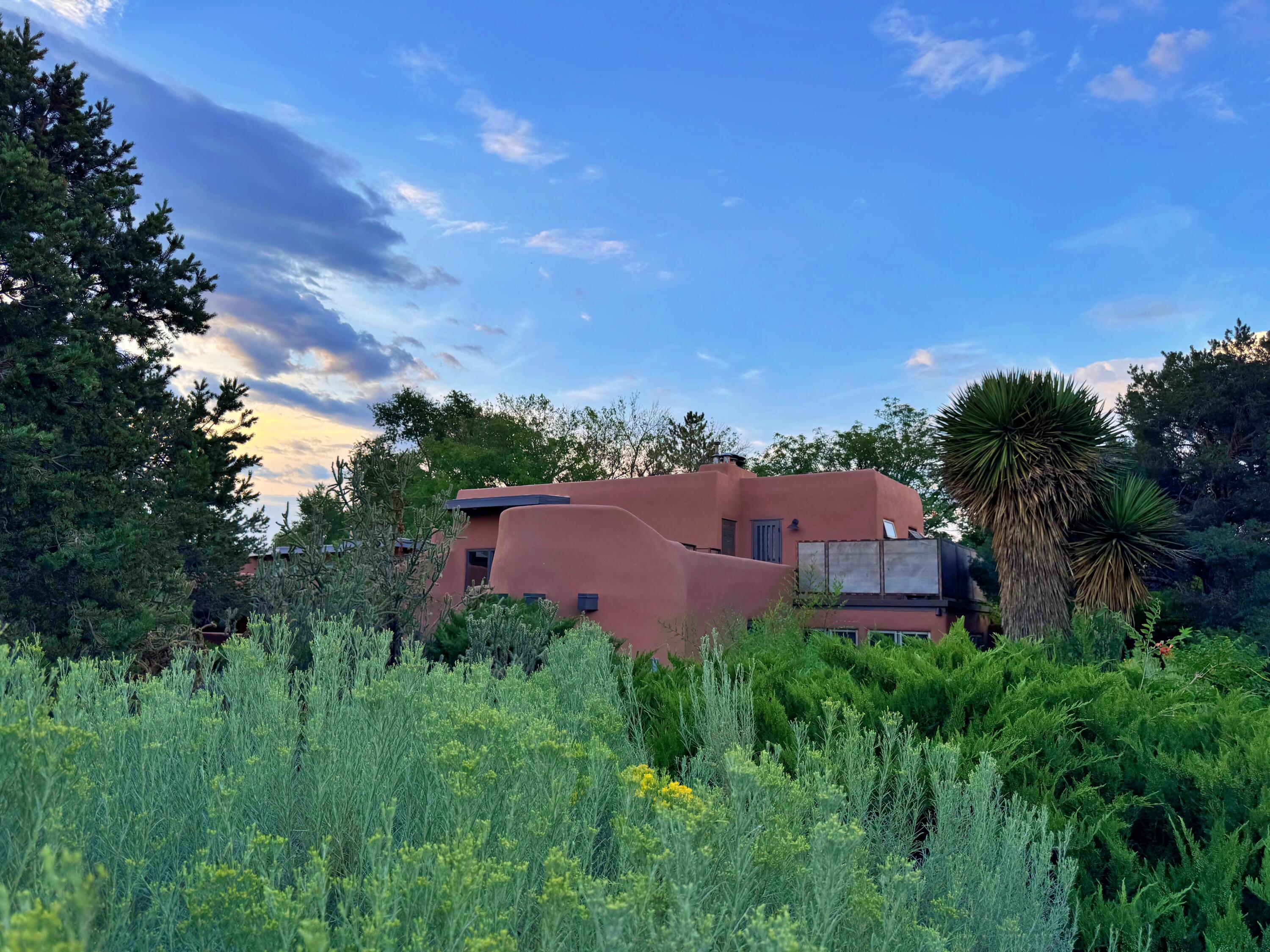 Photo 9 — 931 Camino Ranchitos NW