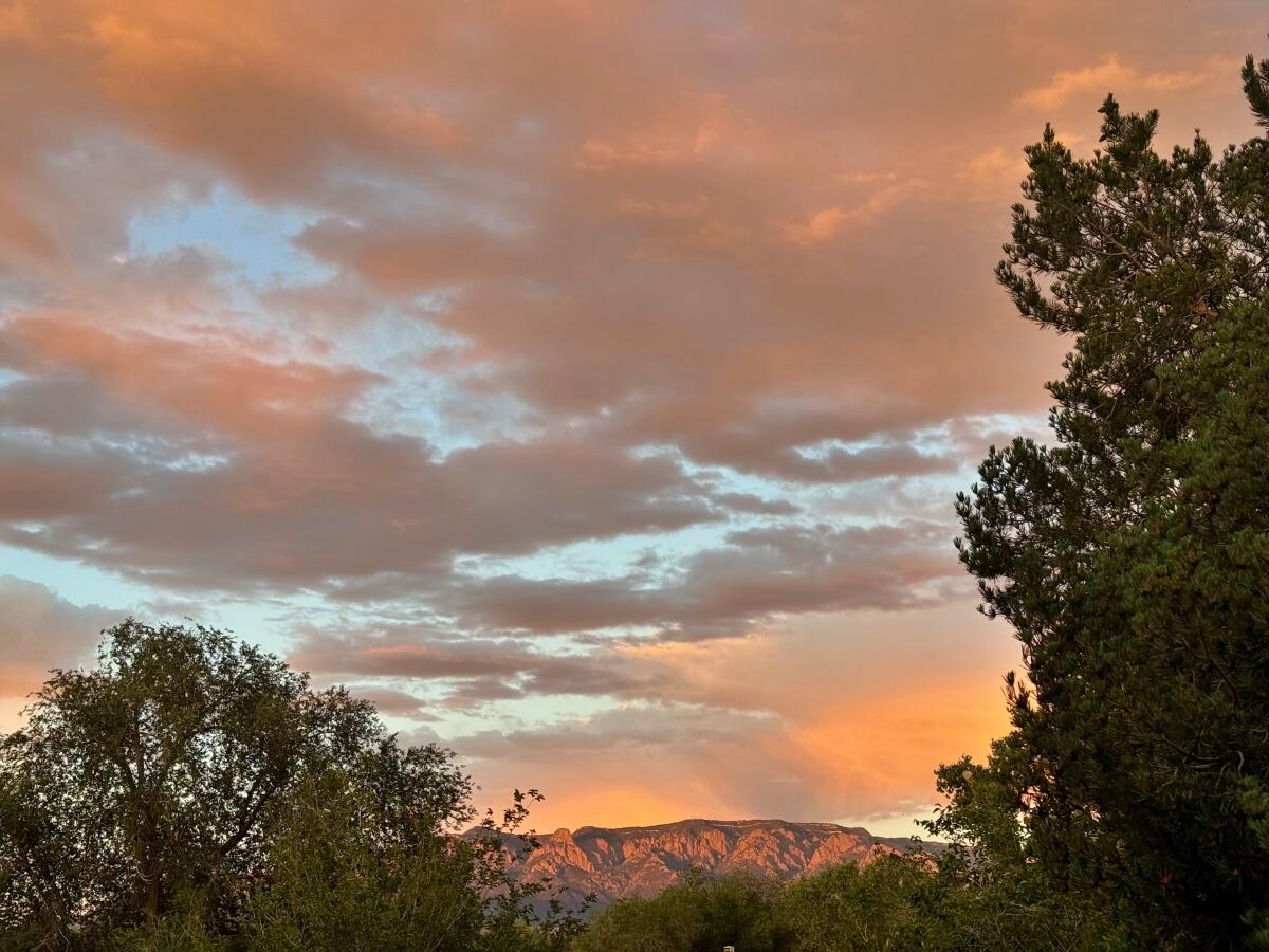 Photo 6 — 931 Camino Ranchitos NW