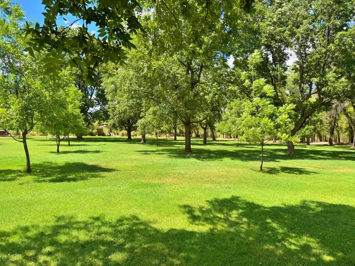 Photo 3 — 931 Camino Ranchitos NW