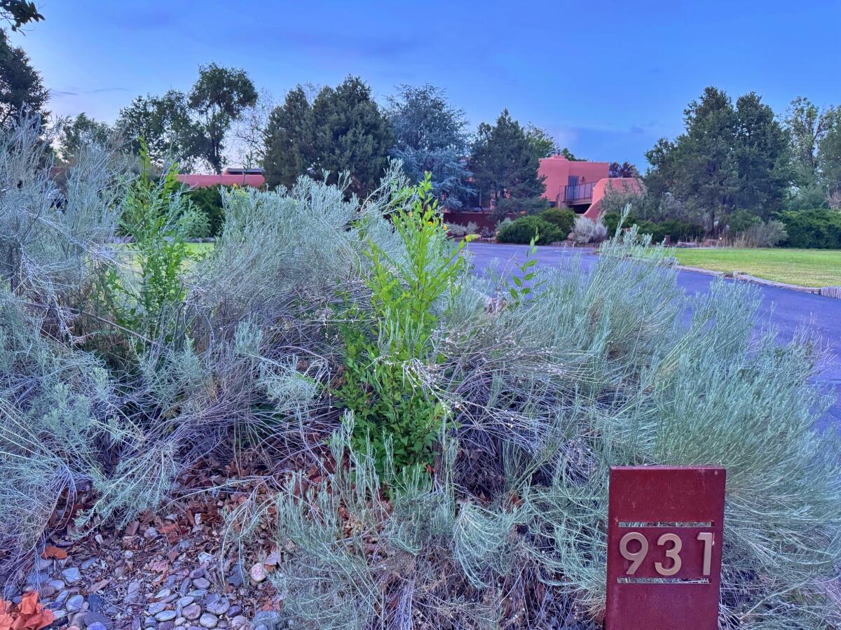 Photo 2 — 931 Camino Ranchitos NW