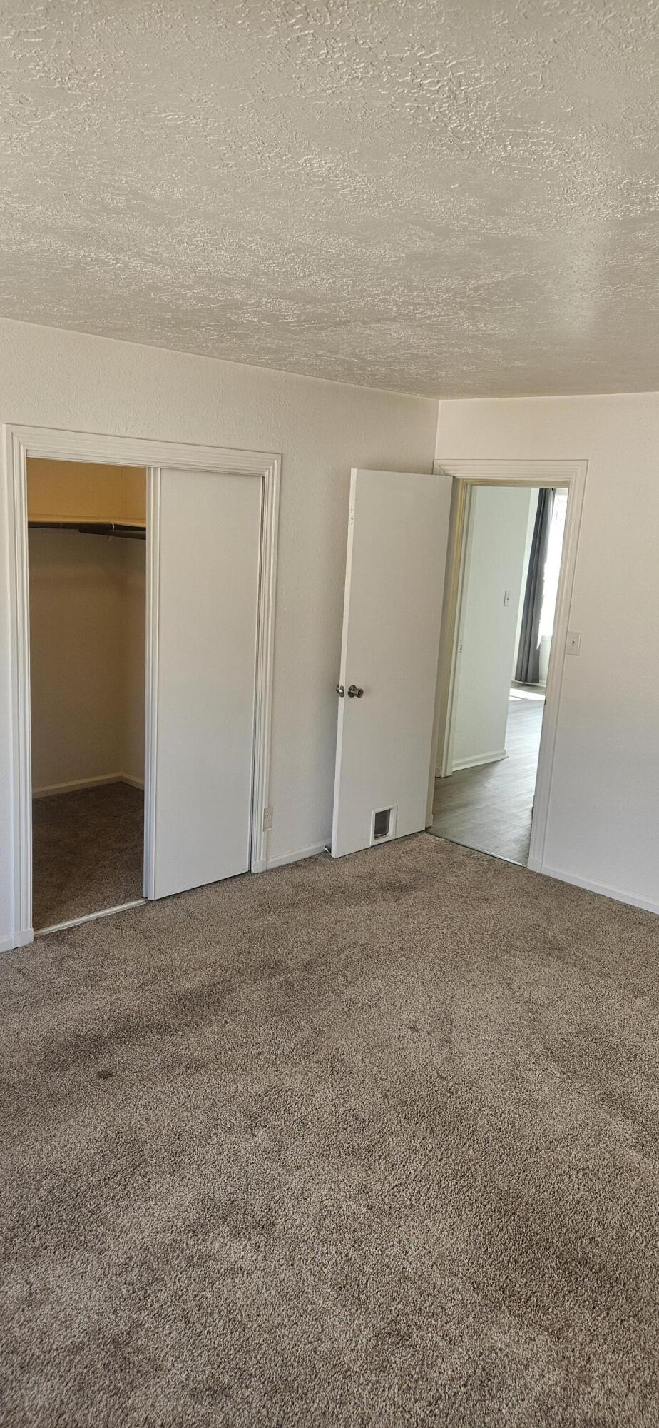 Photo 5 — 811 Orbit Court SE