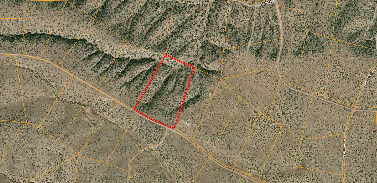 Photo 2 — Lot 193 Campfire Road