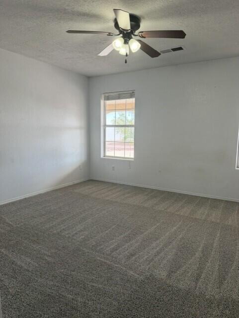 Photo 12 — 809 Sean Avenue